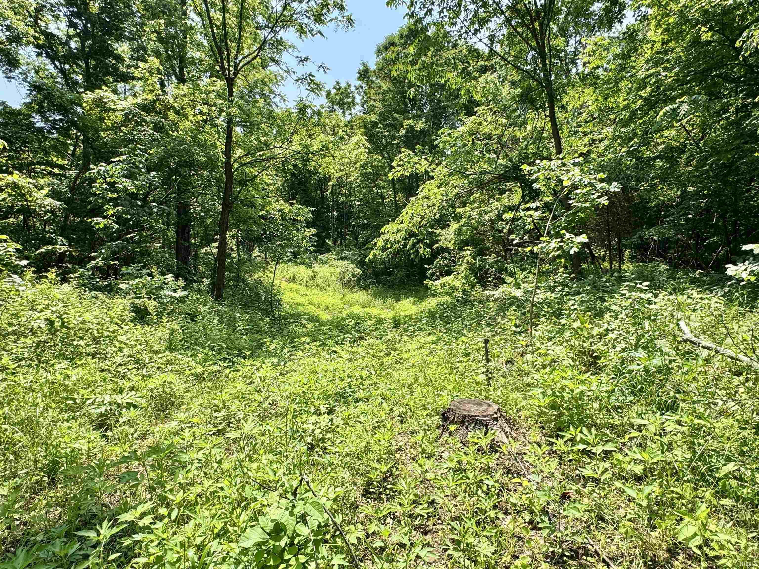 Homes for sale in Paoli, IN | 2 E East State Road 56, Paoli, IN 47454 | MLS# 202443863