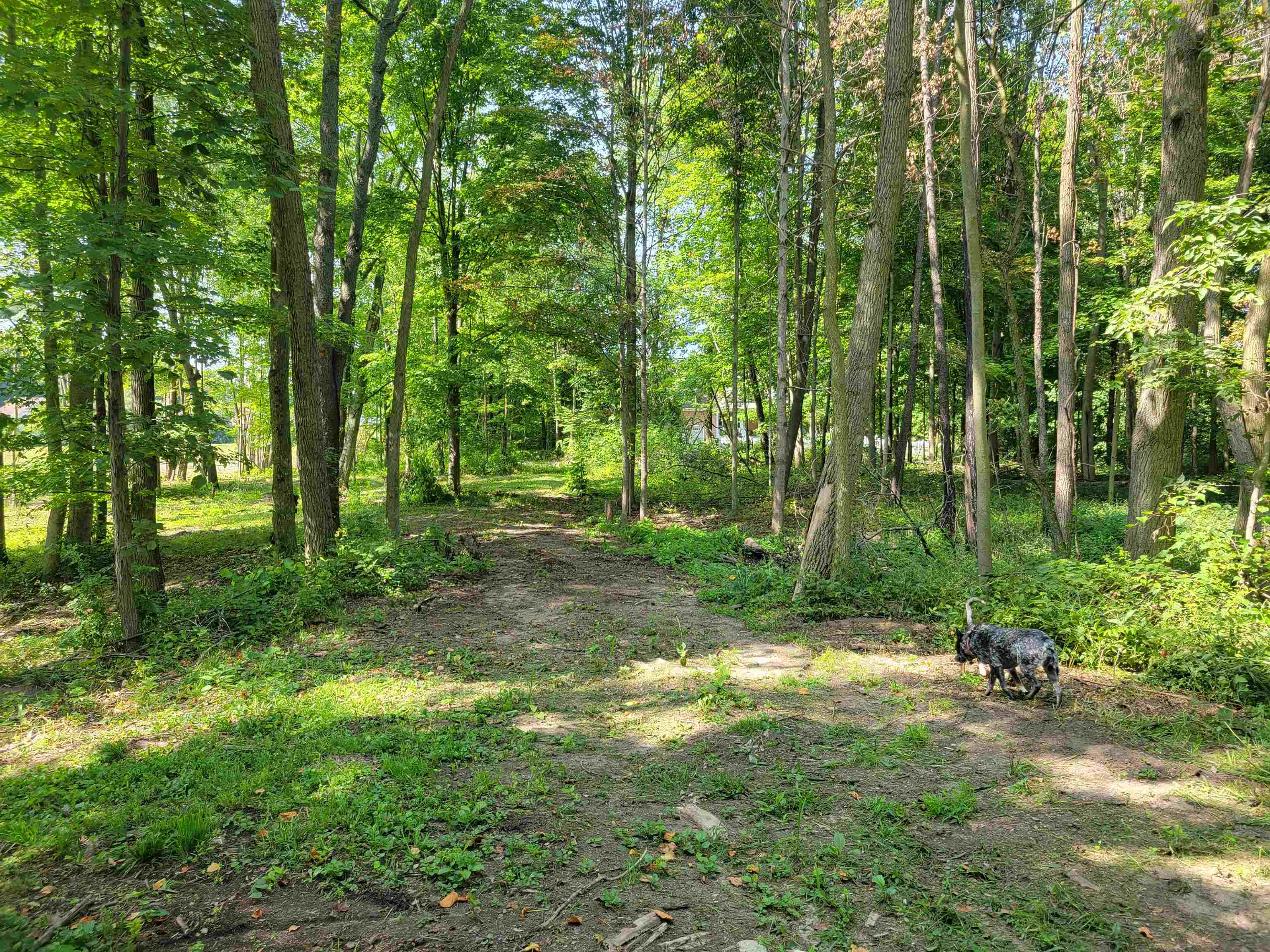 Photo 7 of 0000 Eastgate Drive