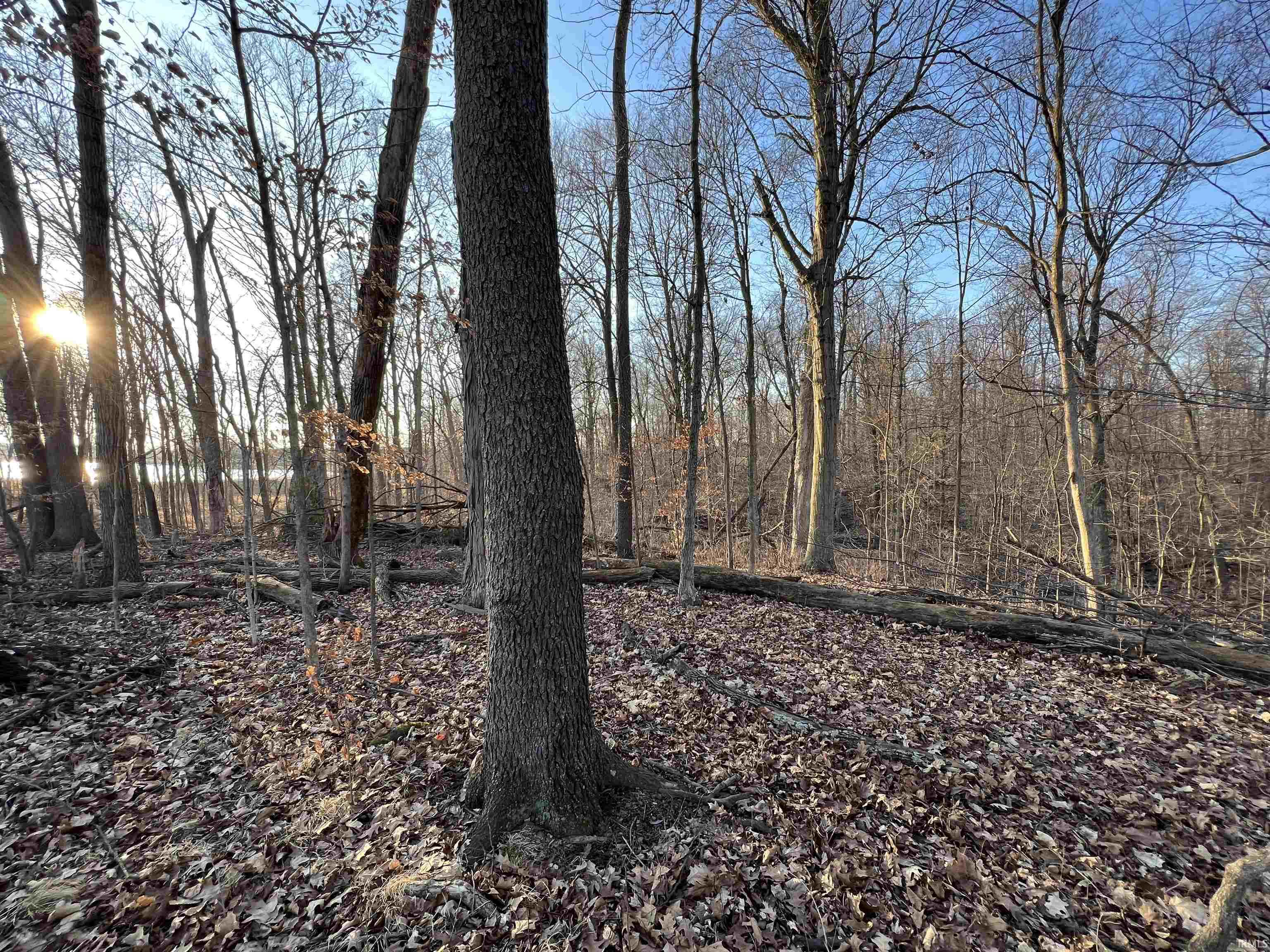 Photo 3 of 10695 Crooked Stick Run