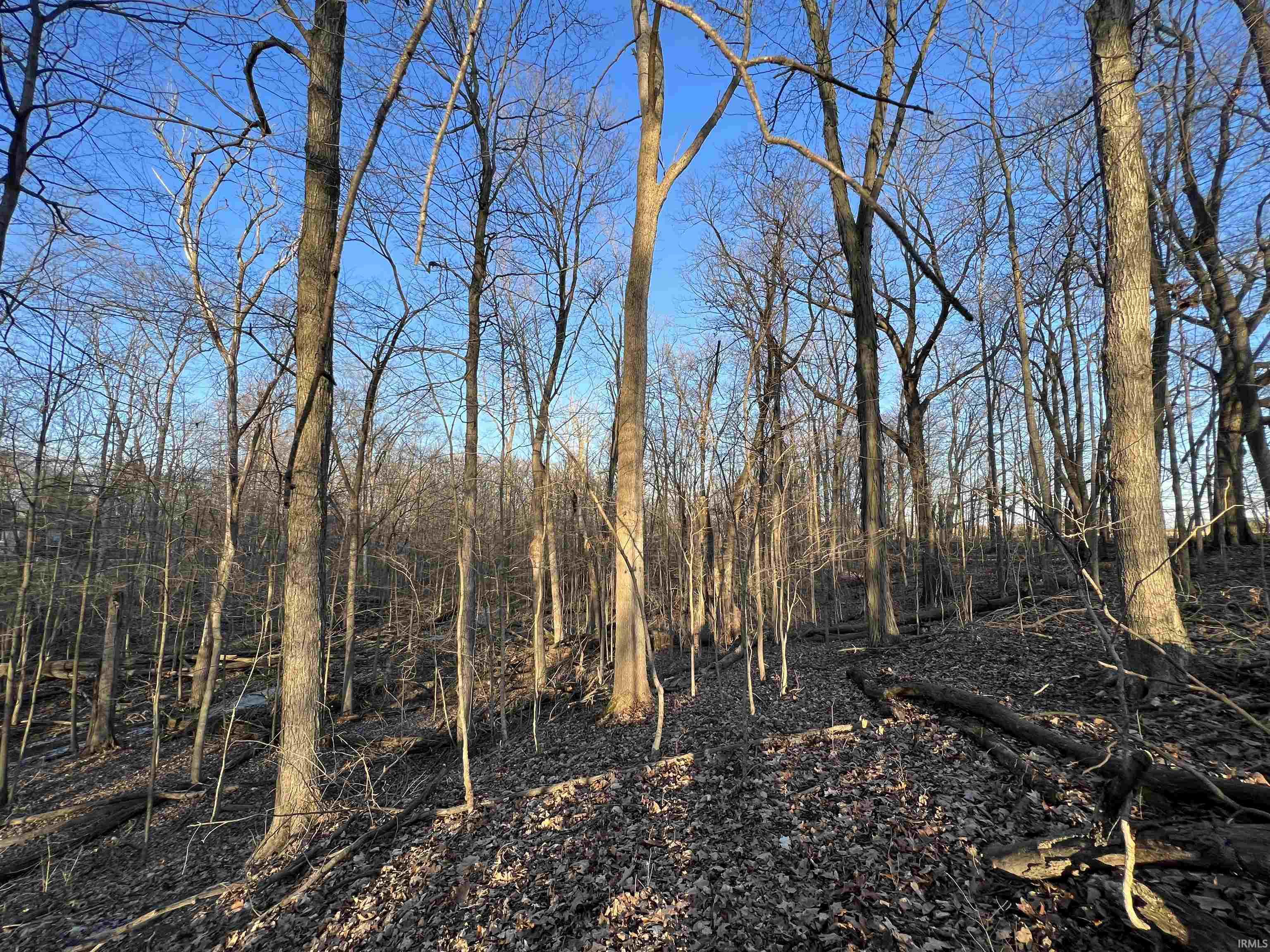 Photo 5 of 10695 Crooked Stick Run