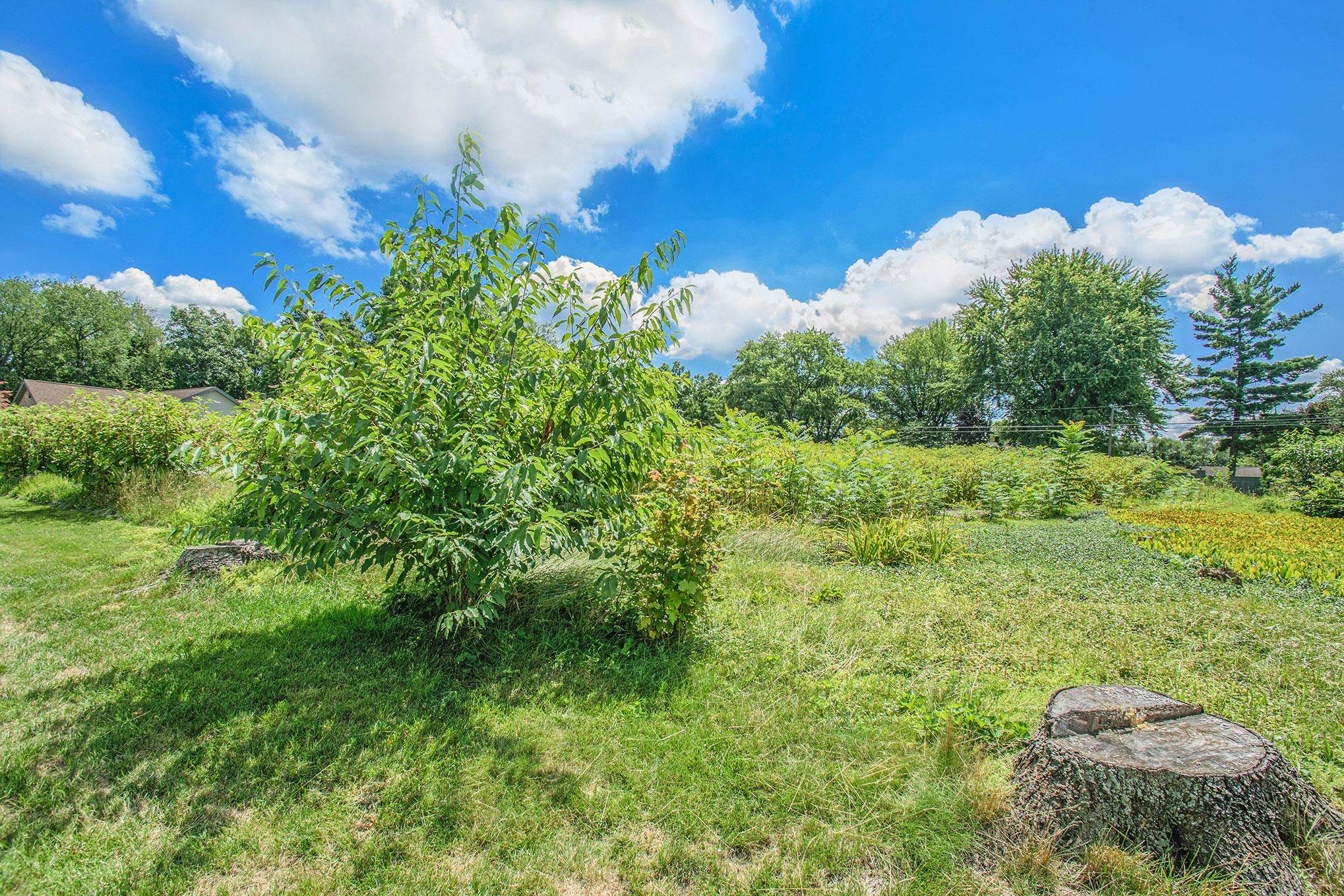 Photo 17 of 22266 Heron Cove Lane