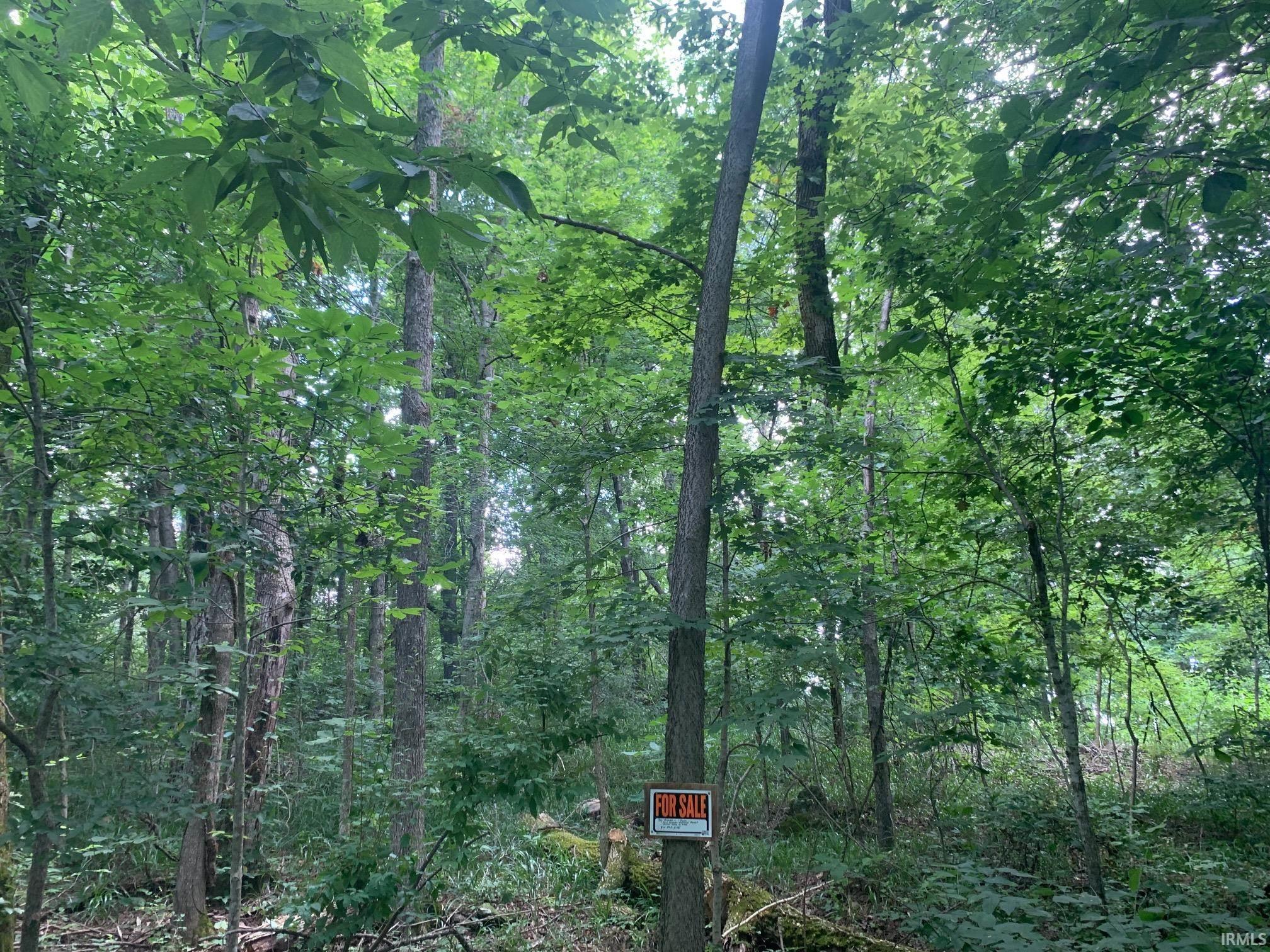 Homes for sale in Derby, IN | 0 Utopia Rd, Derby, IN 47525 | MLS# 202502280