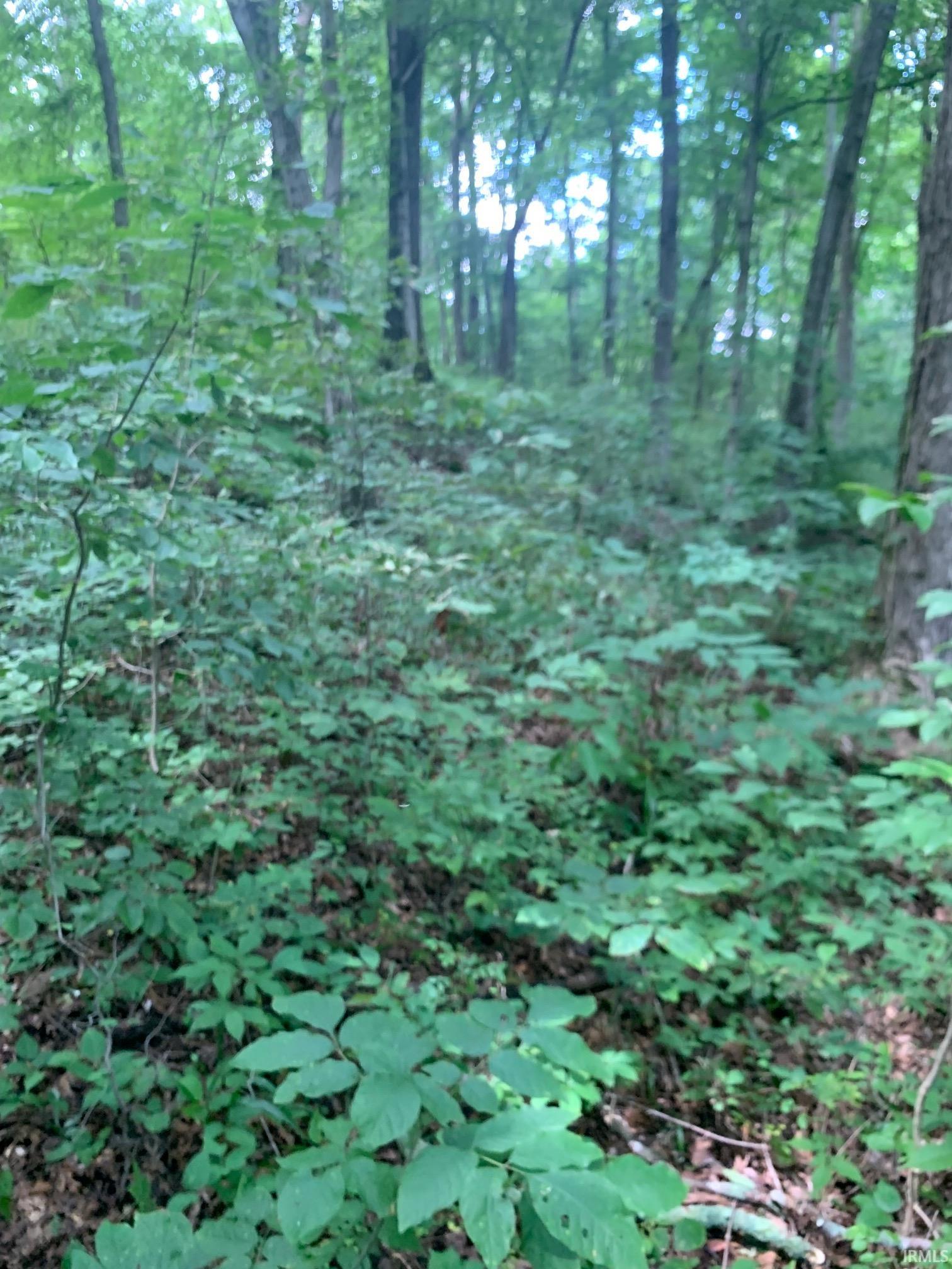 Homes for sale in Derby, IN | 0 Utopia Rd, Derby, IN 47525 | MLS# 202502280