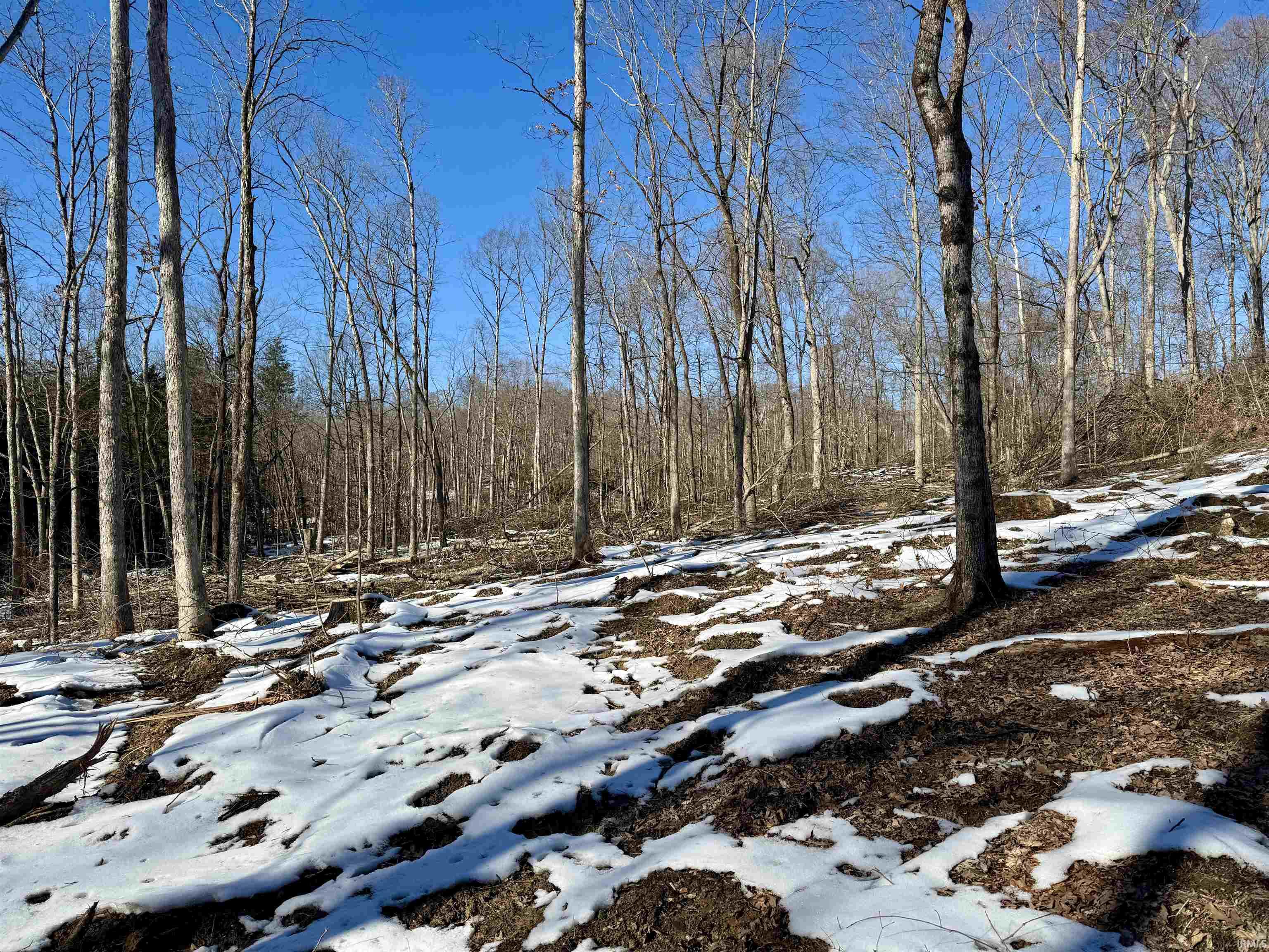 Homes for sale in Paoli, IN | 9 E East State Road 56, Paoli, IN 47454 | MLS# 202503384