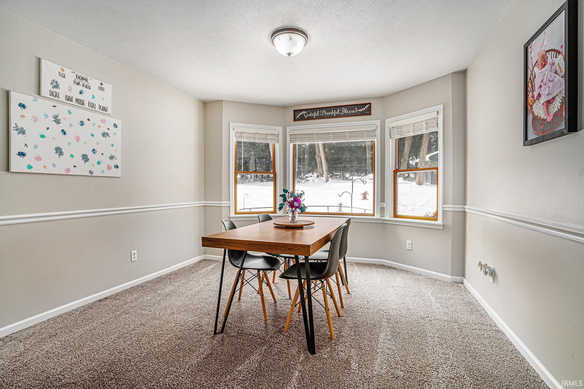 Photo 4 of 203 Krider Drive