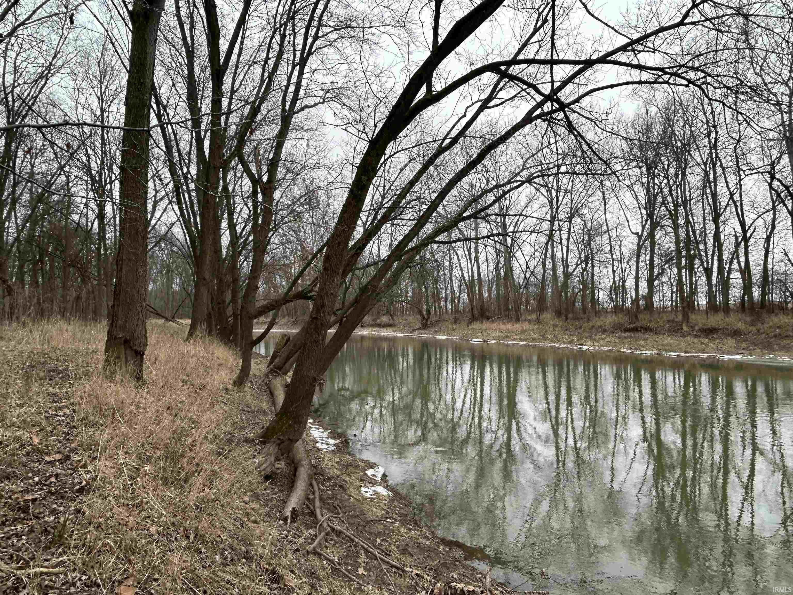 picture-gallery