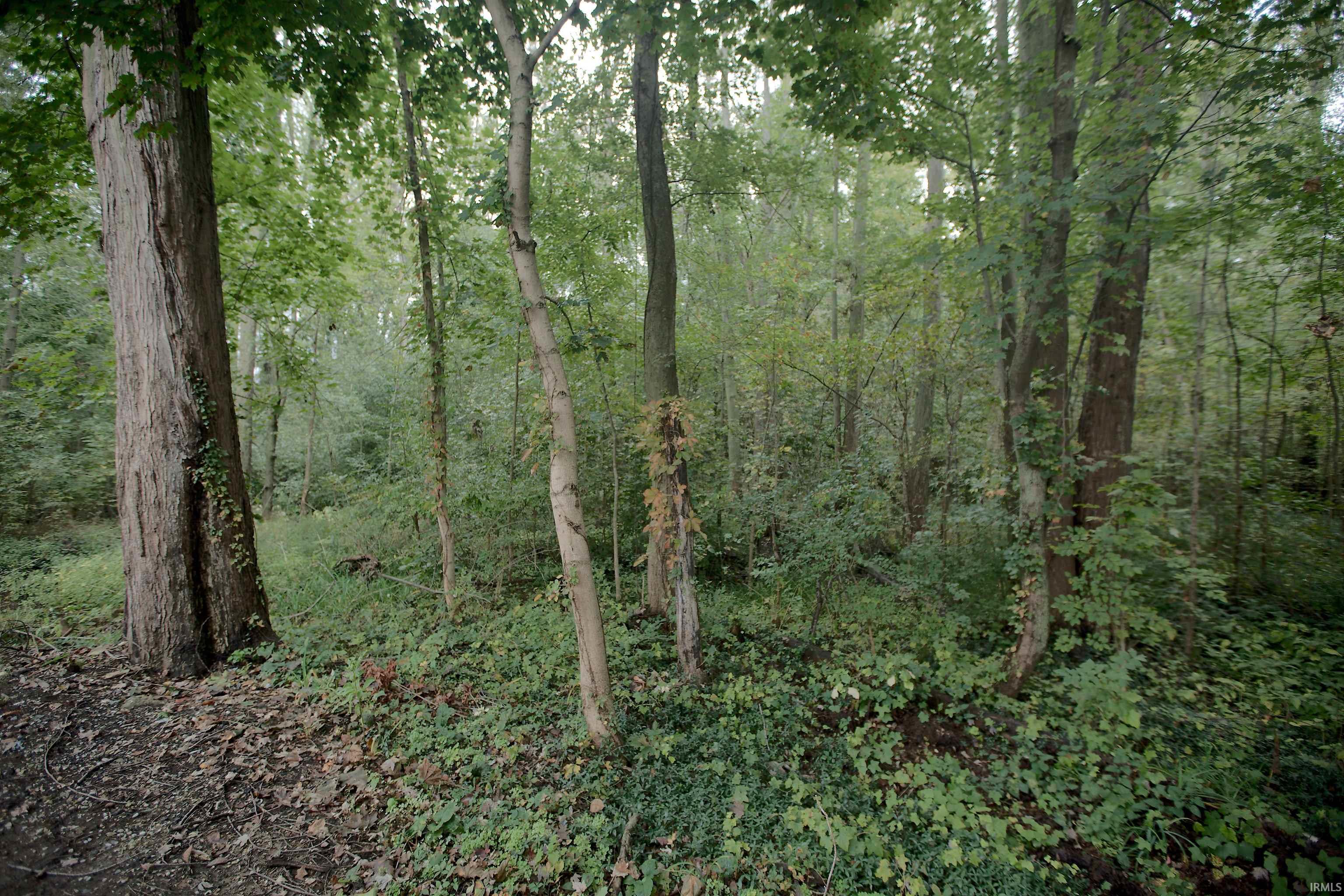 Photo 32 of 8629 E Hatchery Road