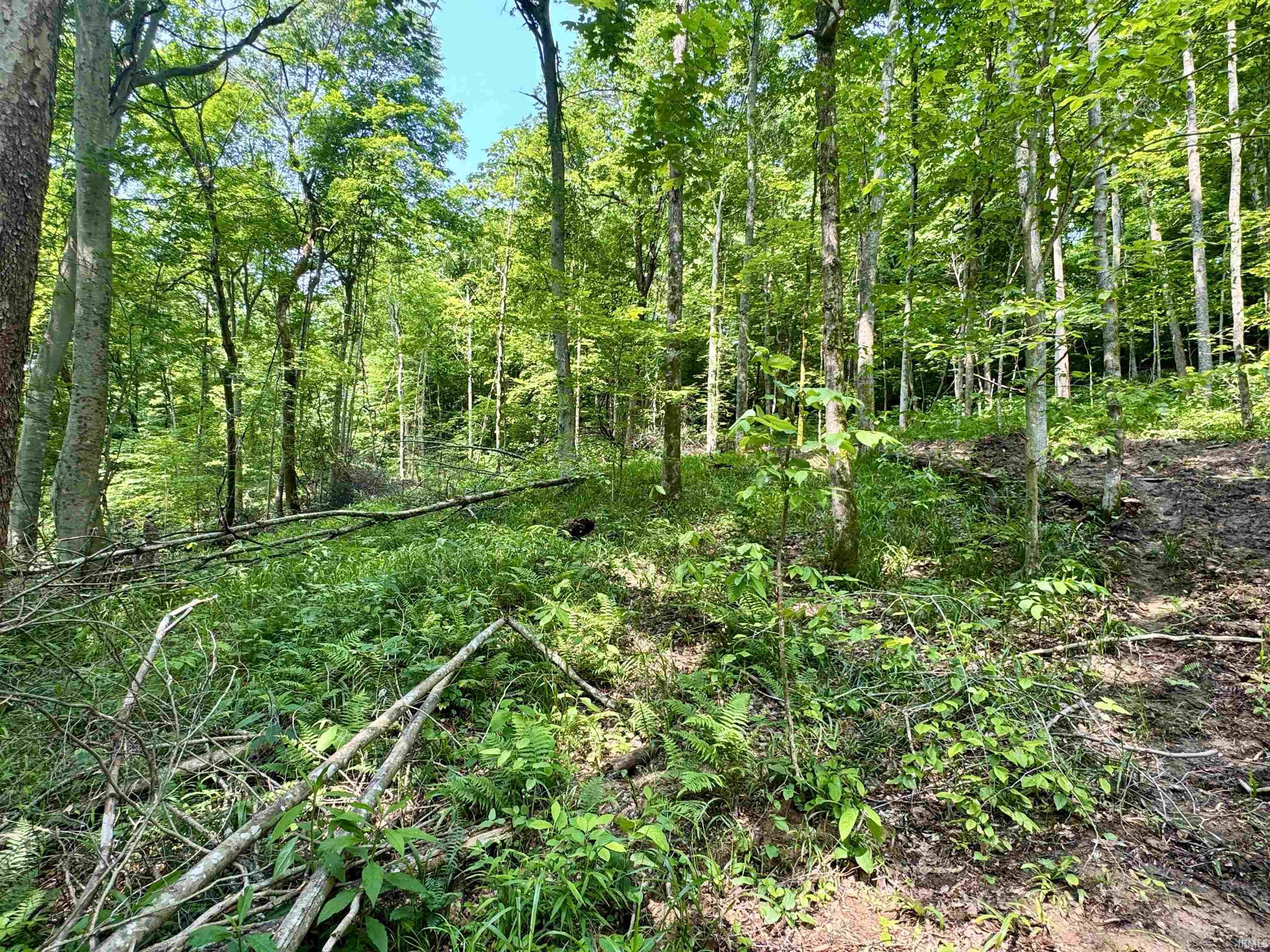 Homes for sale in English, IN | 1 State Road 237, English, IN 47118 | MLS# 202506907