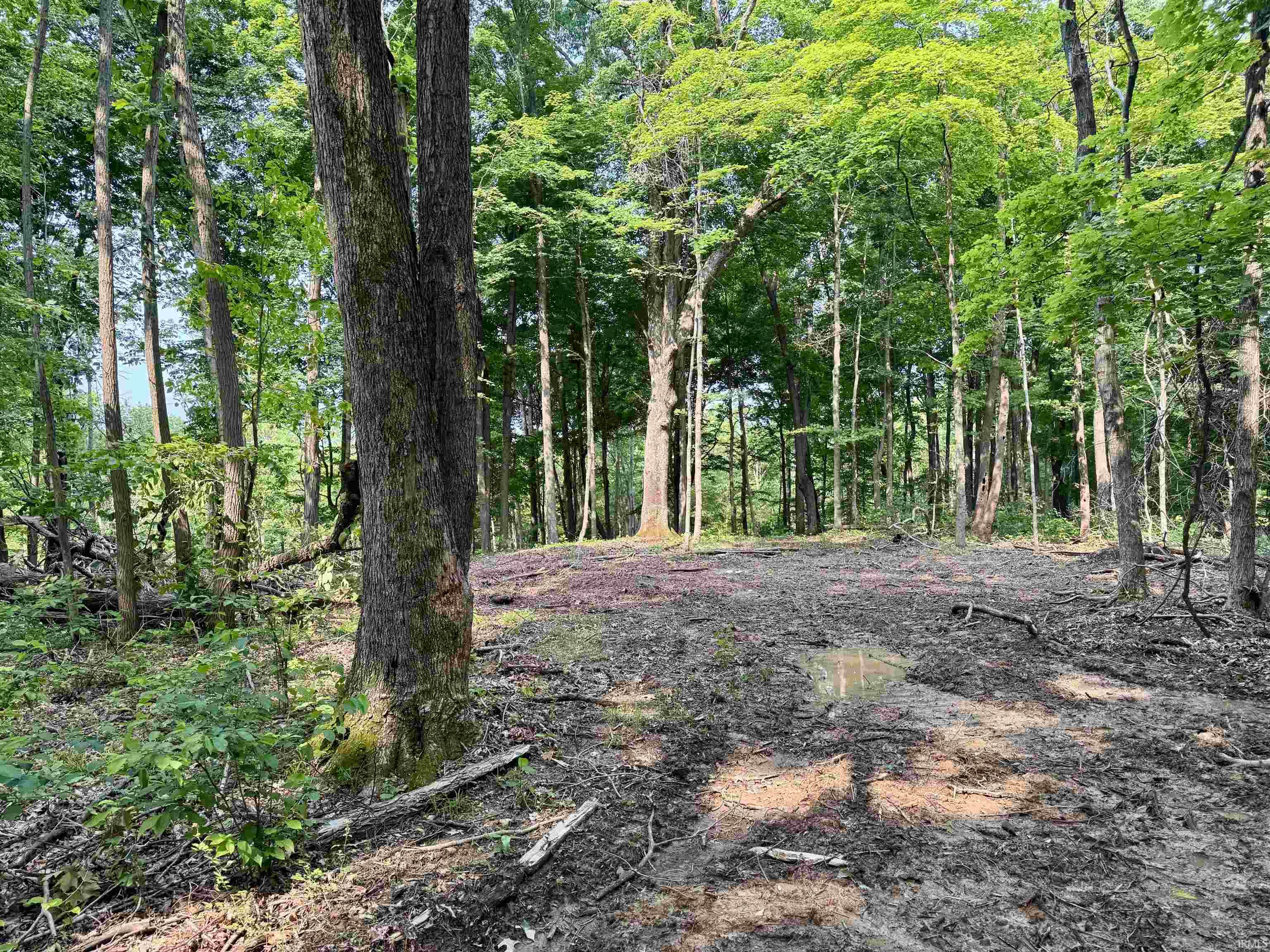 Homes for sale in English, IN | 2 State Road 237, English, IN 47118 | MLS# 202506909