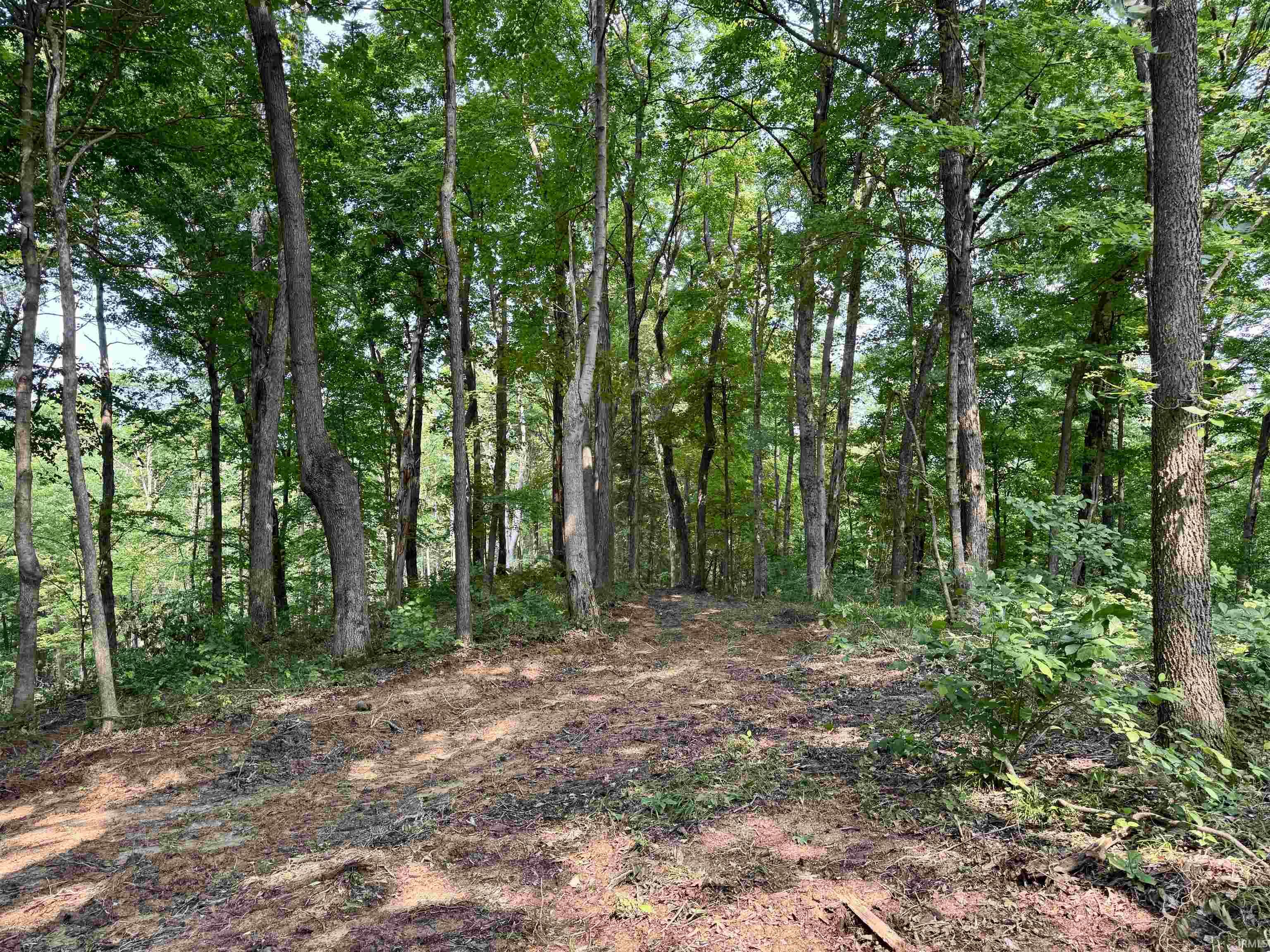 Homes for sale in English, IN | 2 State Road 237, English, IN 47118 | MLS# 202506909