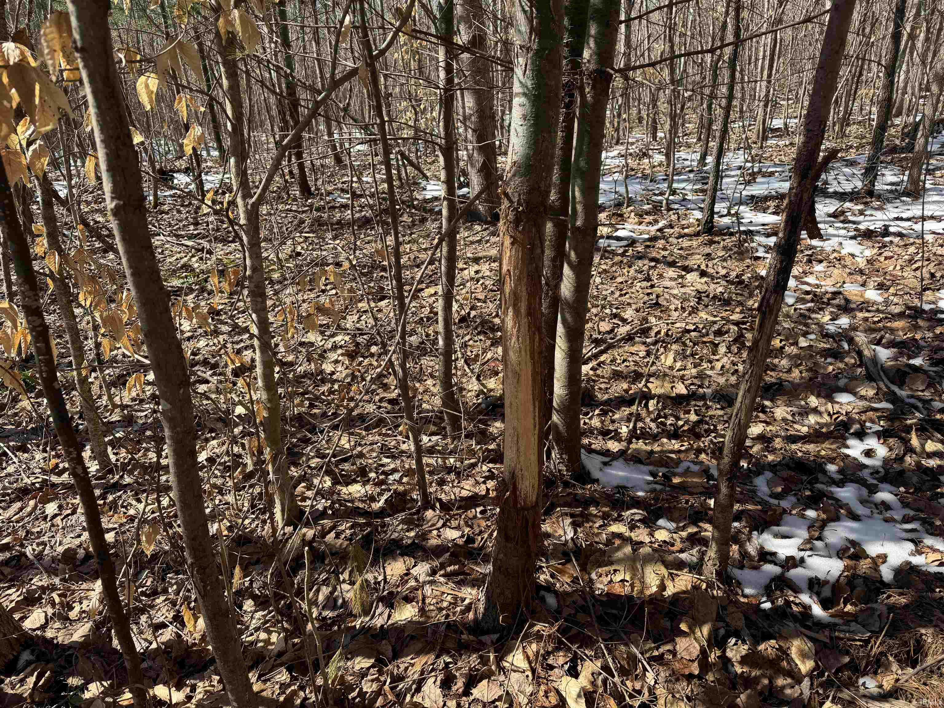 Homes for sale in English, IN | 3 State Road 237, English, IN 47118 | MLS# 202506910