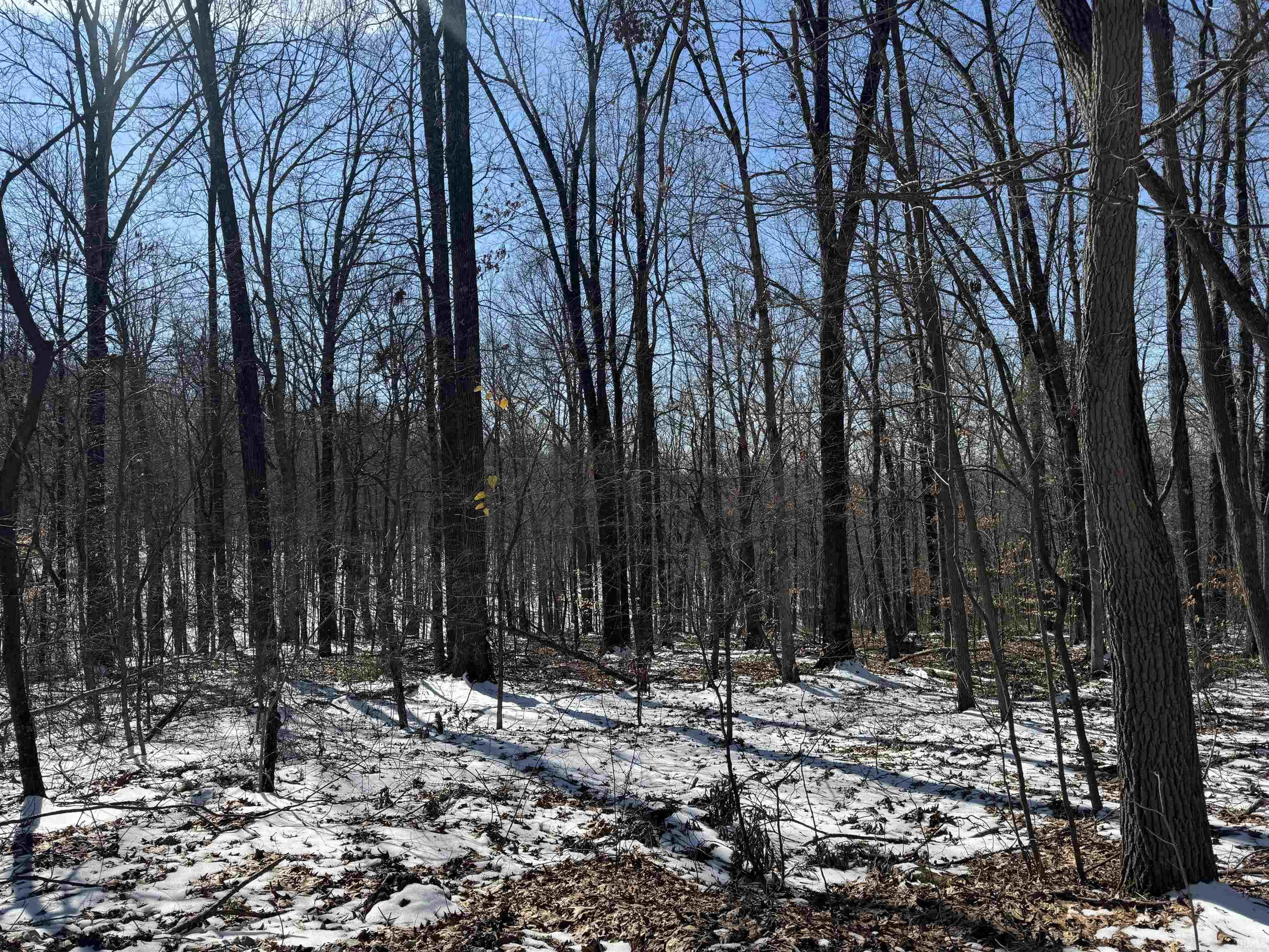 Homes for sale in English, IN | 3 State Road 237, English, IN 47118 | MLS# 202506910