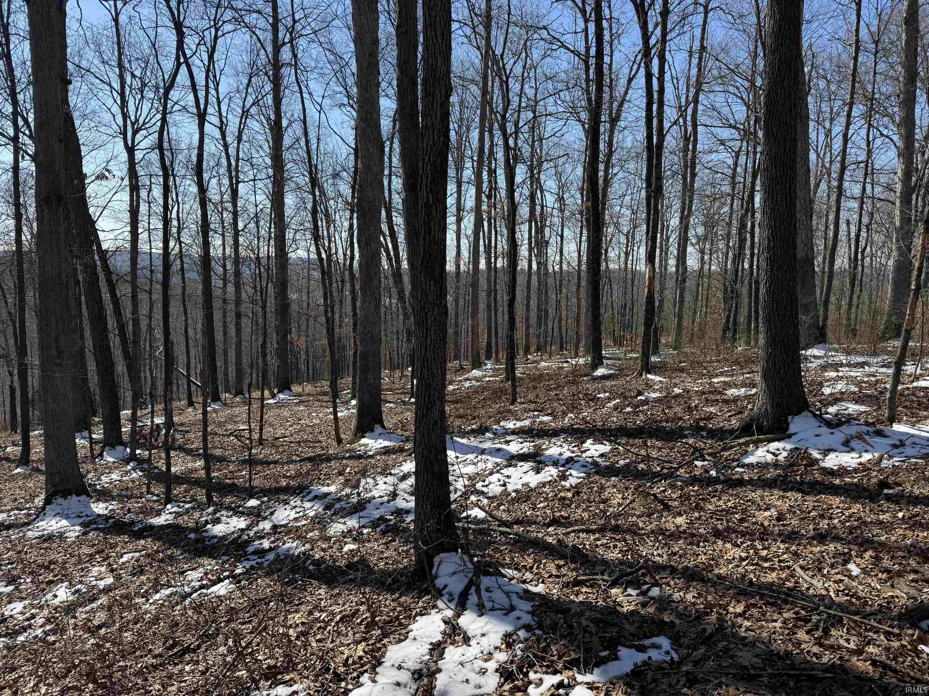 Homes for sale in English, IN | 4 State Road 237, English, IN 47118 | MLS# 202506913