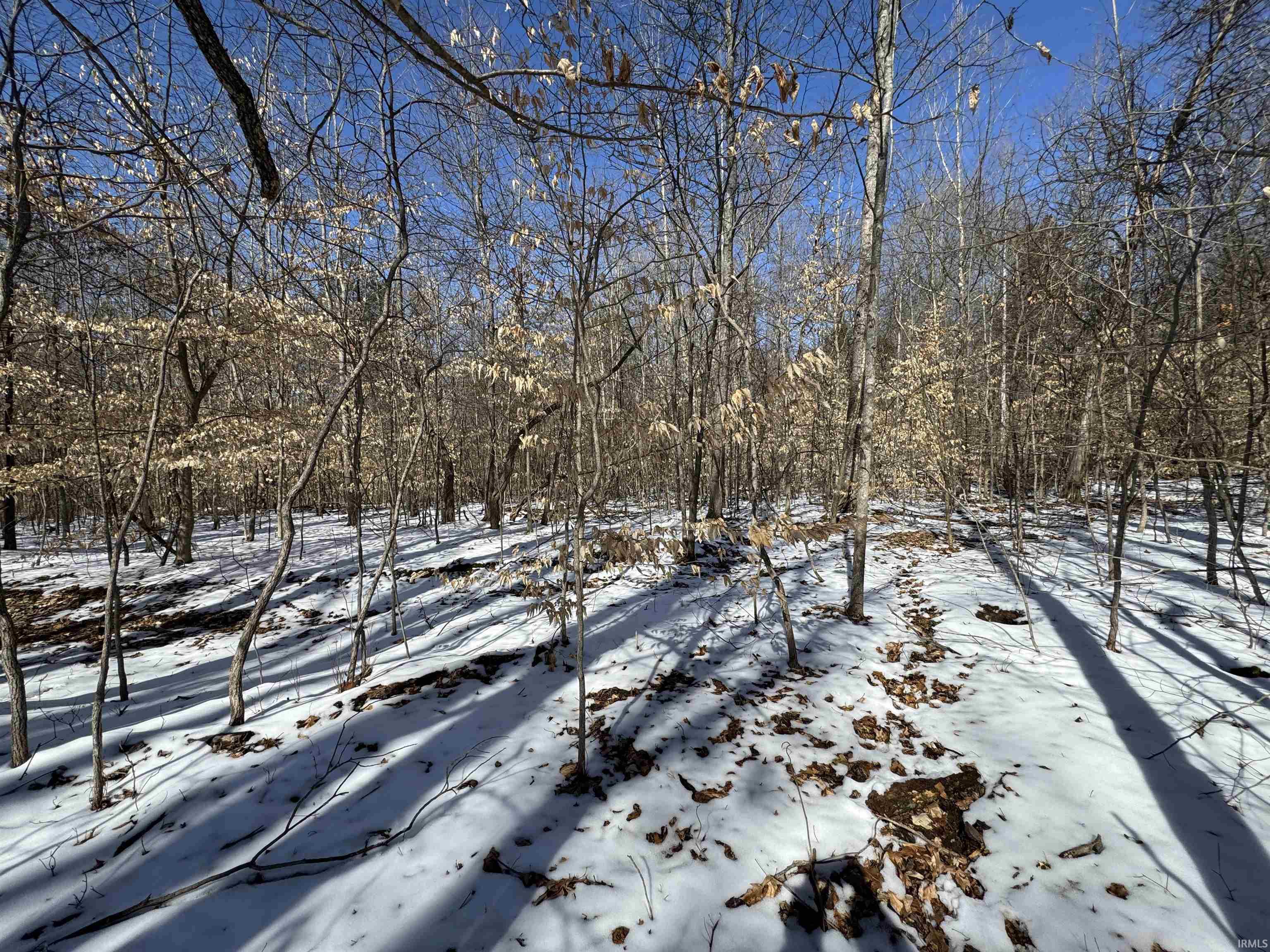 Homes for sale in English, IN | 5 State Road 237, English, IN 47118 | MLS# 202506917