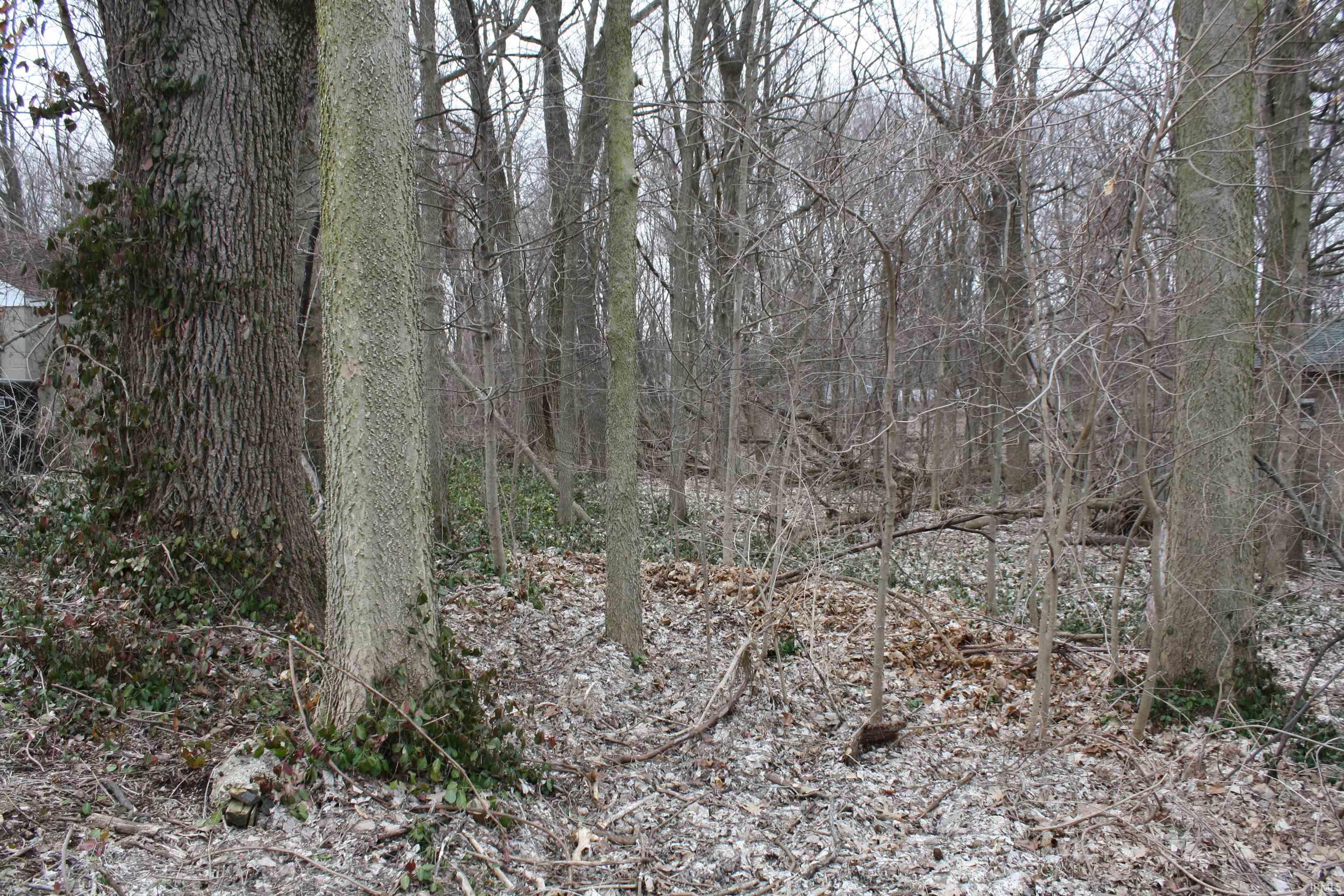 Homes for sale in South Bend, IN | 18 W Tasher St, South Bend, IN 46614 | MLS# 202507011