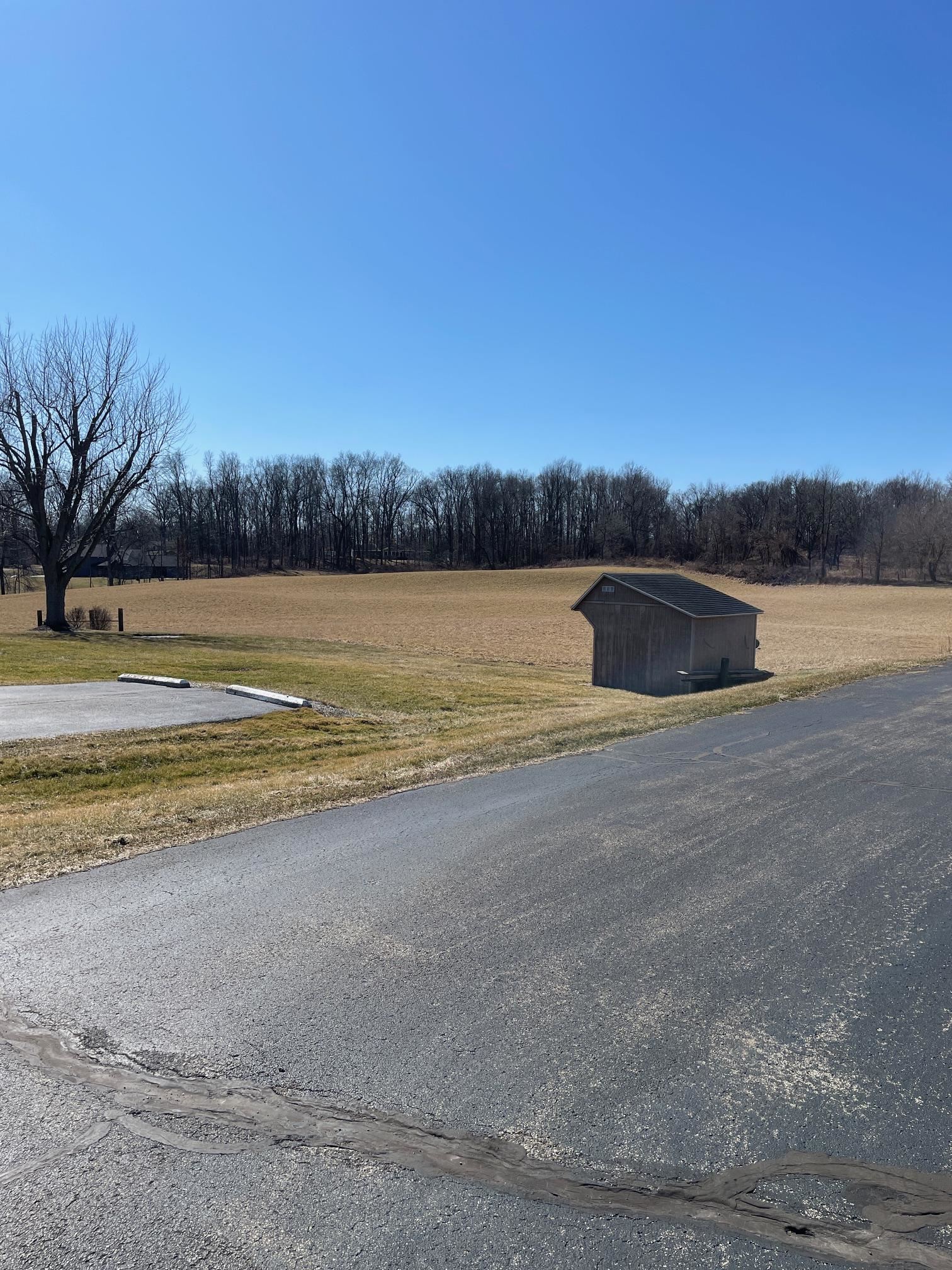 Your view of the back yard!