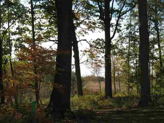 Photo 8 of 2252 Highlander Drive