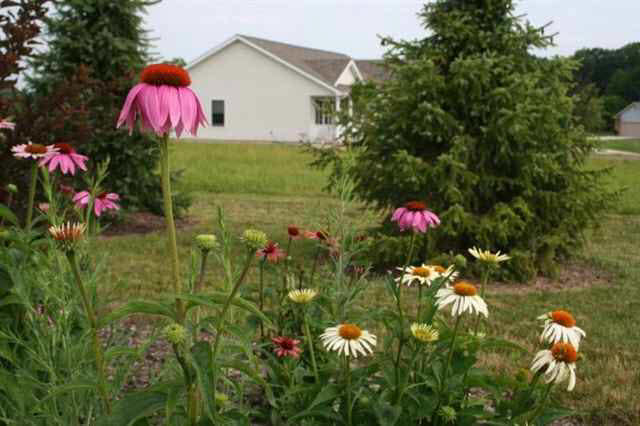 Photo 9 of 2252 Highlander Drive