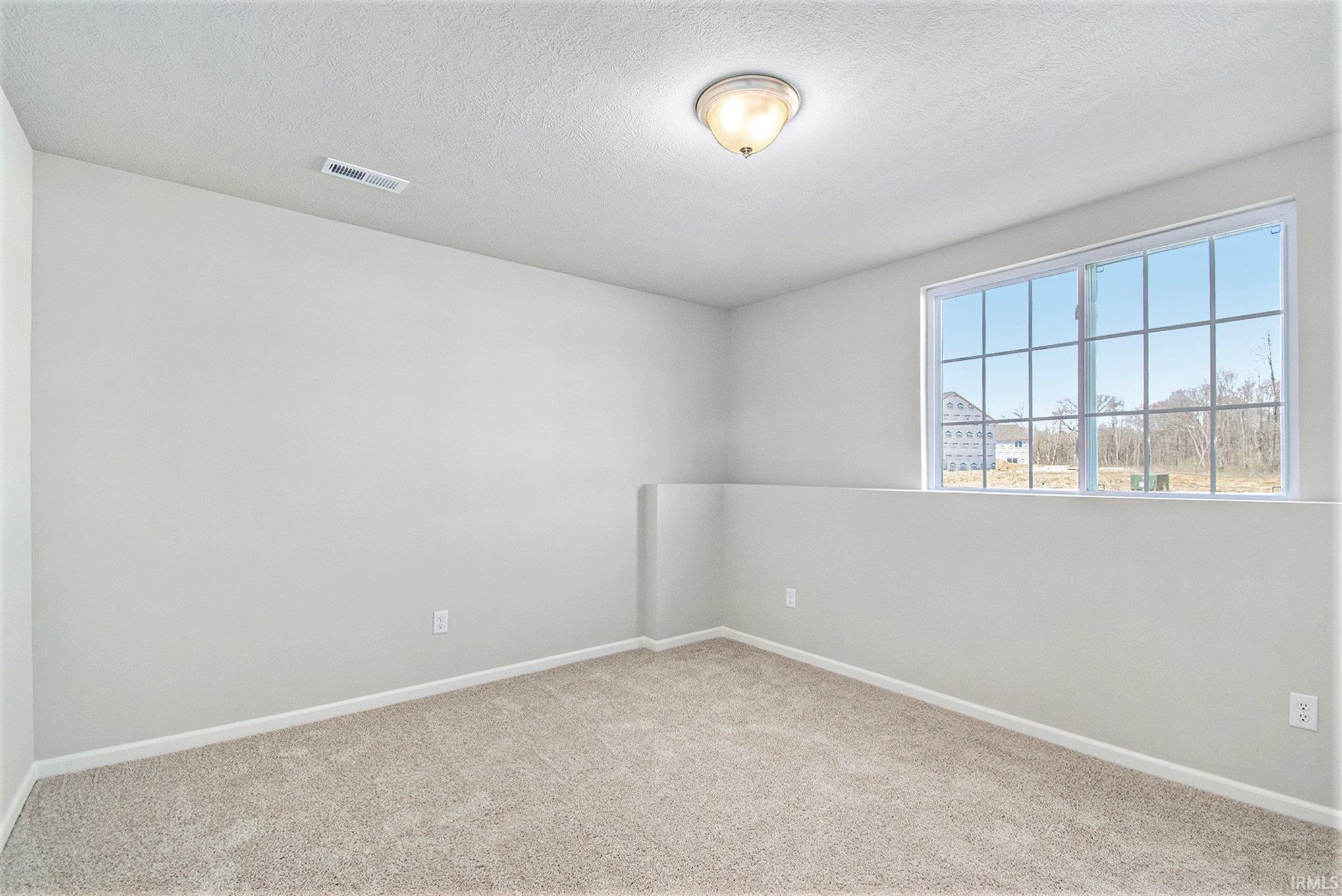 Lower level bedroom 2