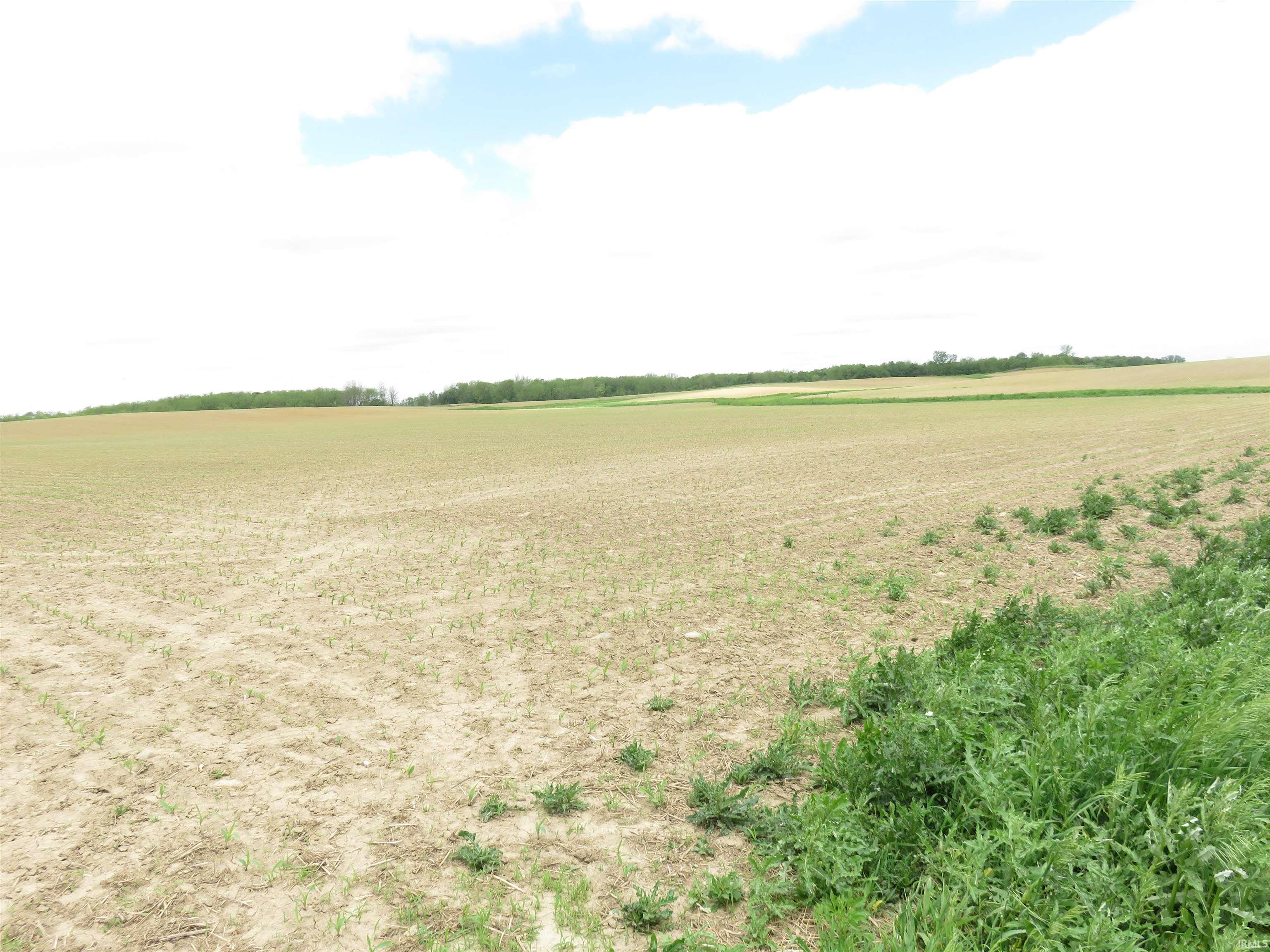 Homes for sale in Denver, IN | E 900 N, Denver, IN 46926 | MLS# 202510132