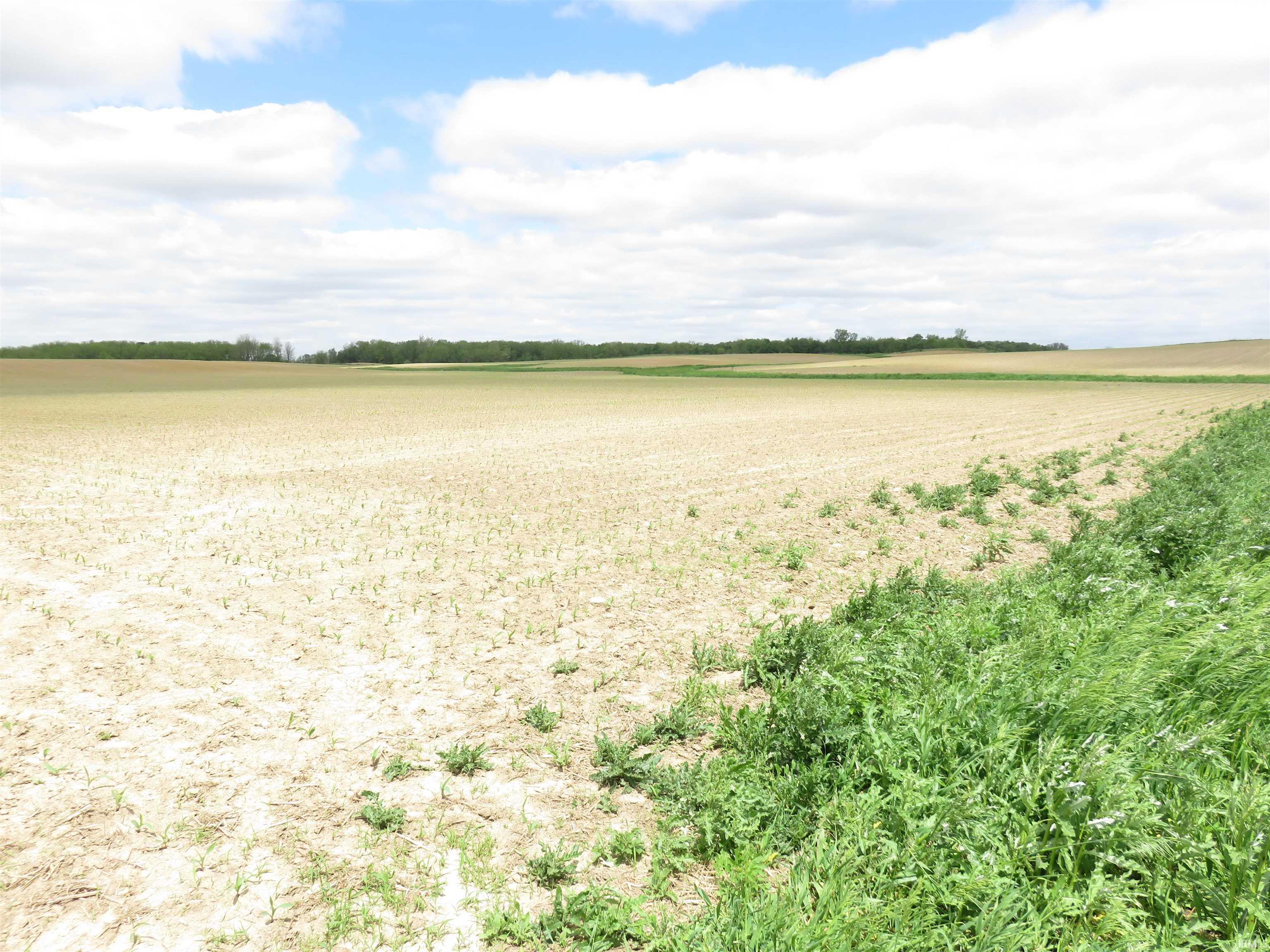 Homes for sale in Denver, IN | E 900 N, Denver, IN 46926 | MLS# 202510132