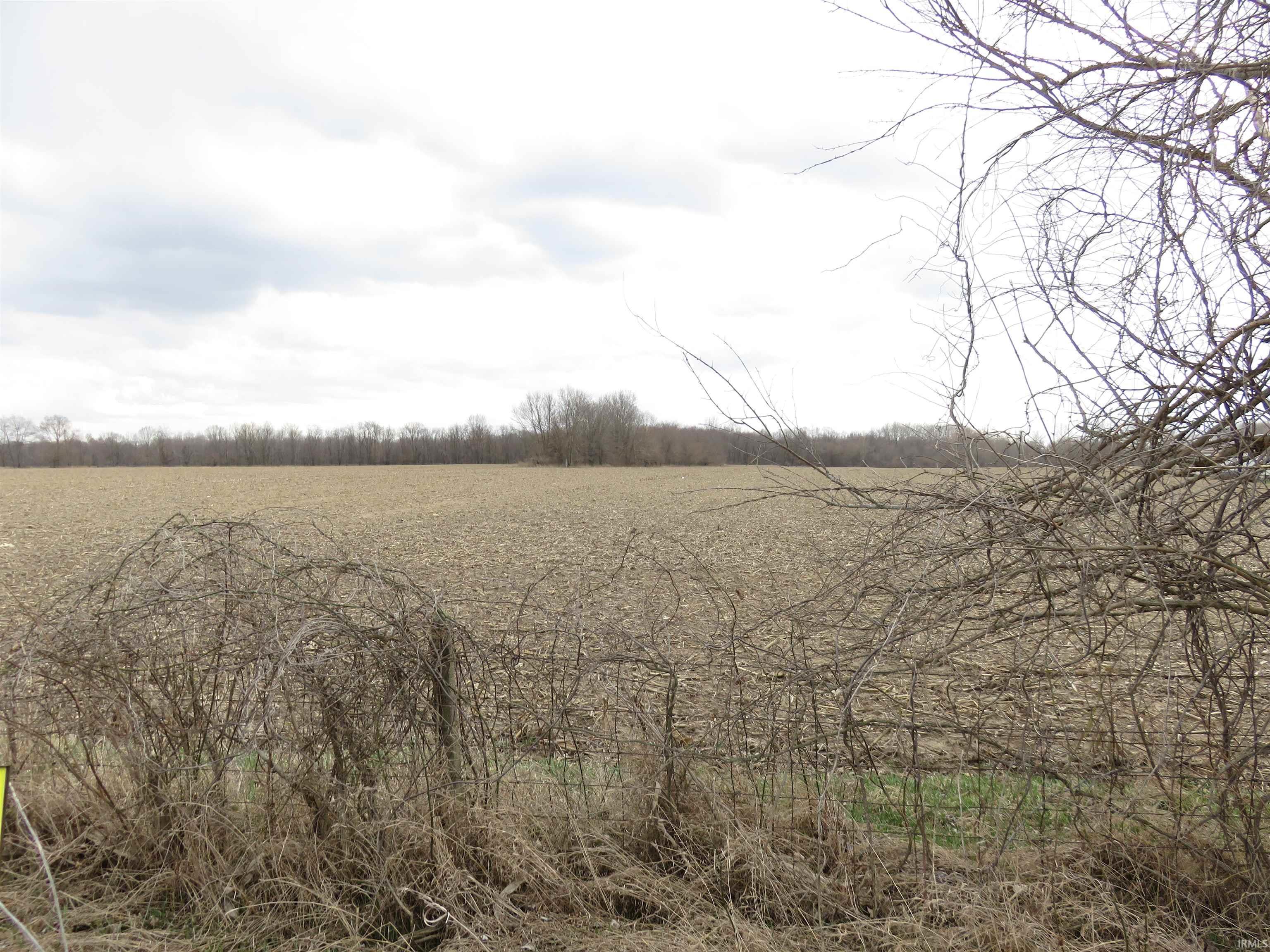 Homes for sale in Denver, IN | E 600 E, Denver, IN 46926 | MLS# 202510172