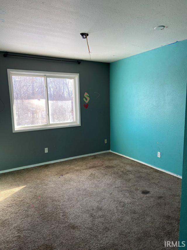 picture-gallery