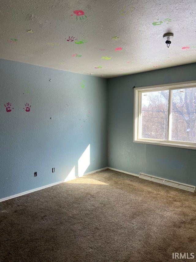 picture-gallery