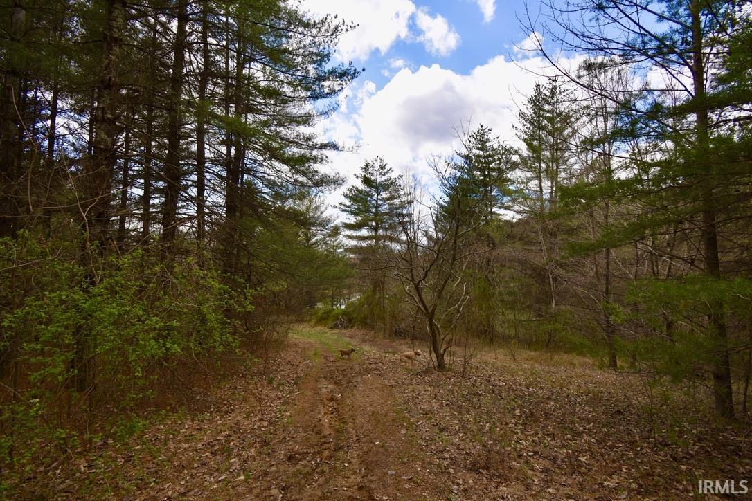 Property Photo 19