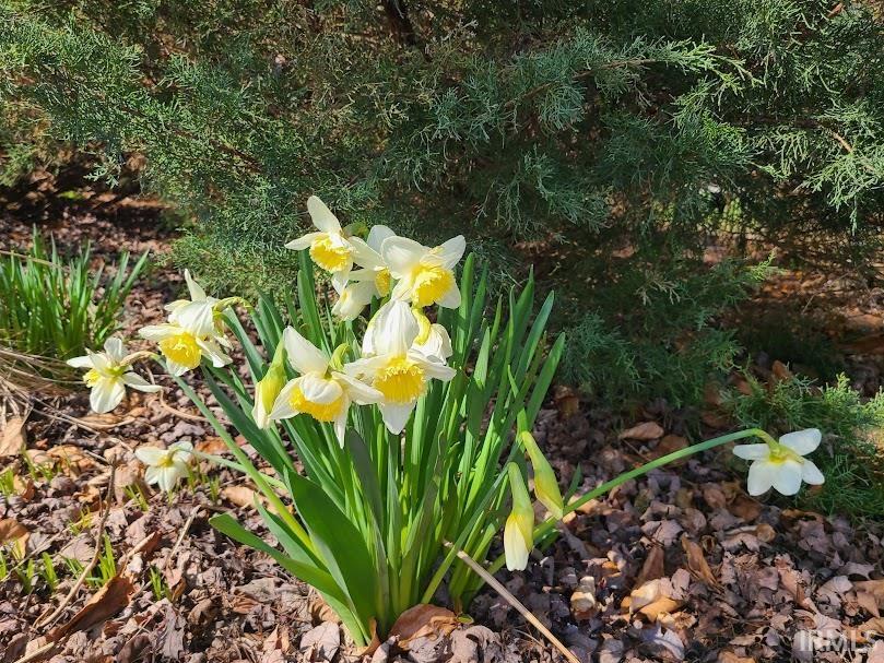 Photo 22 of TBD Huntington Street