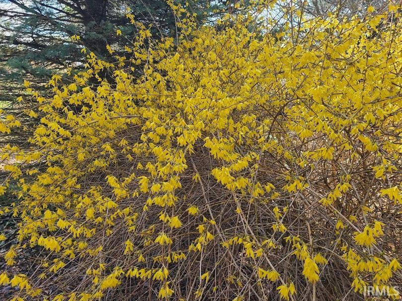 Photo 23 of TBD Huntington Street