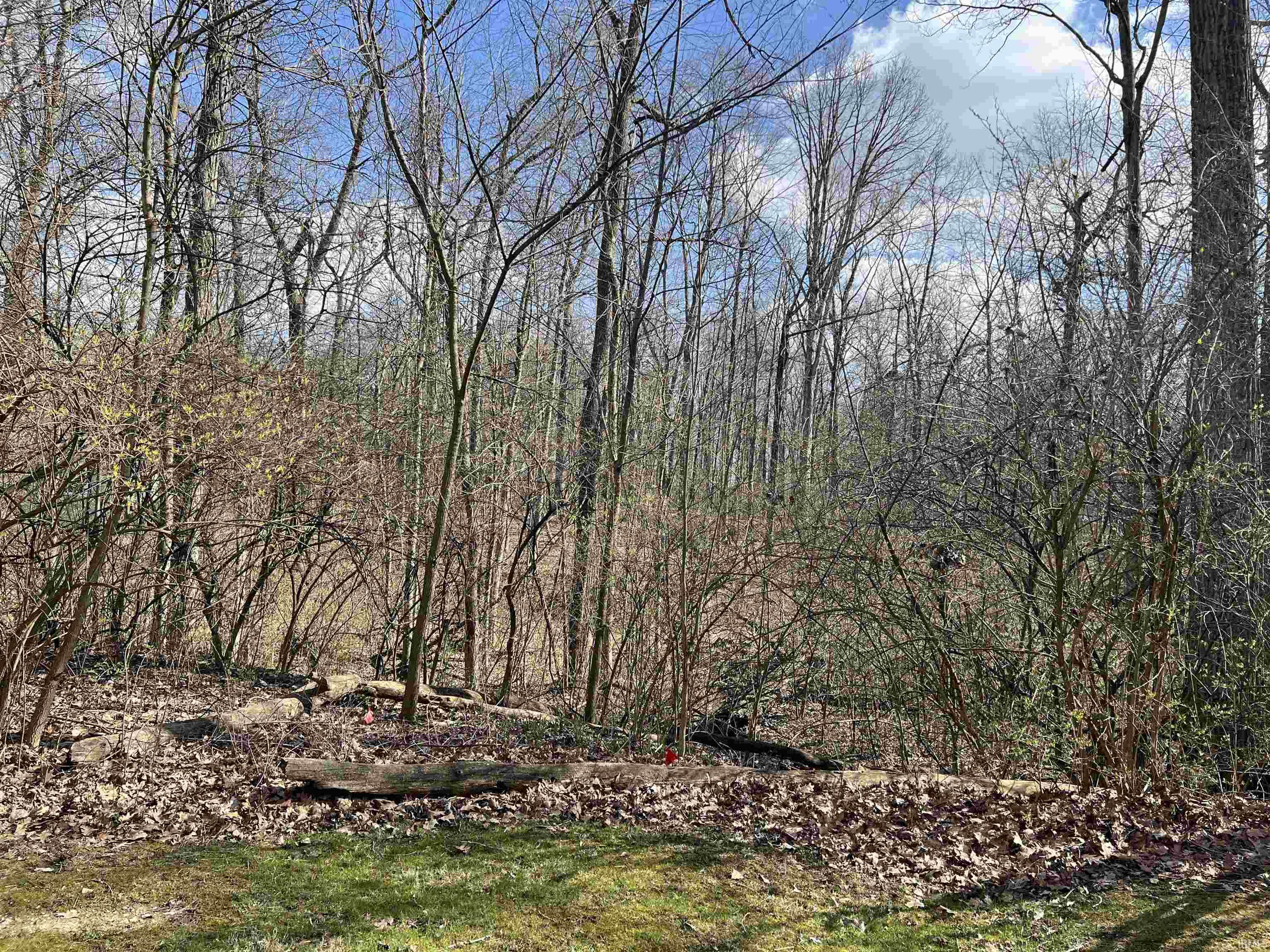 Photo 1 of 13135 Ravine Trail