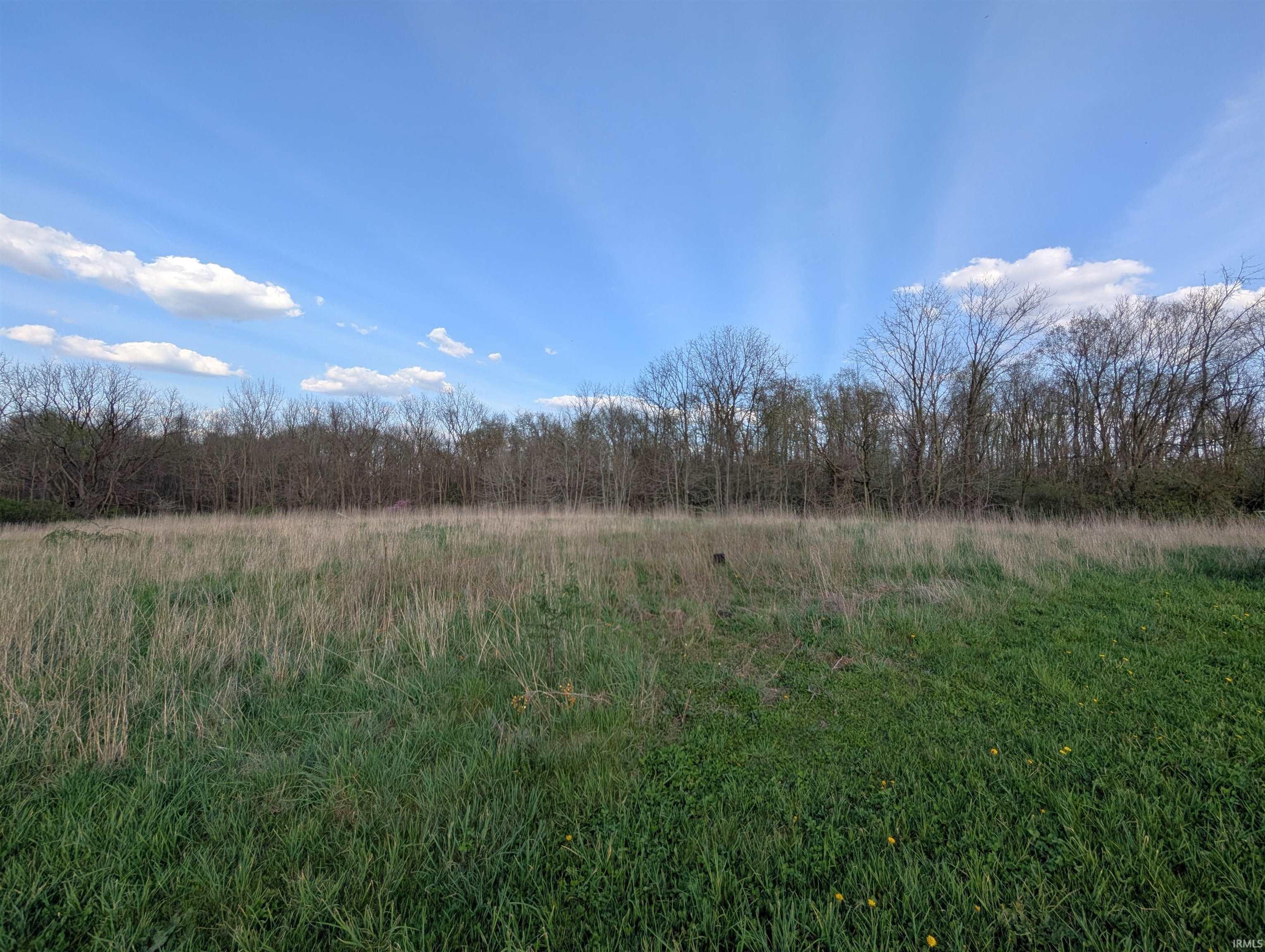 Photo 4 of 9 Acres County Road 7