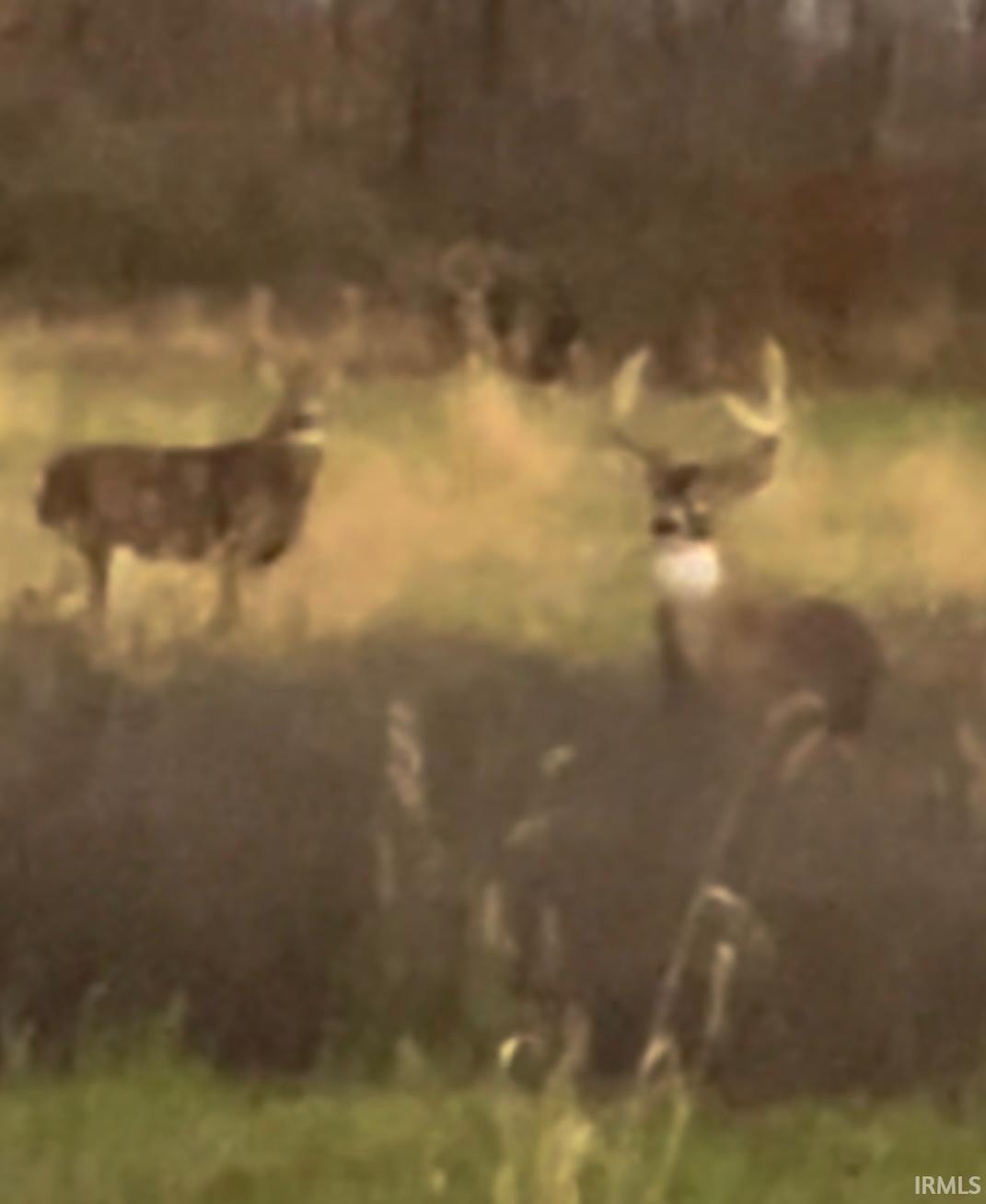 Photo 15 of 15386 MAKARIOS Pass