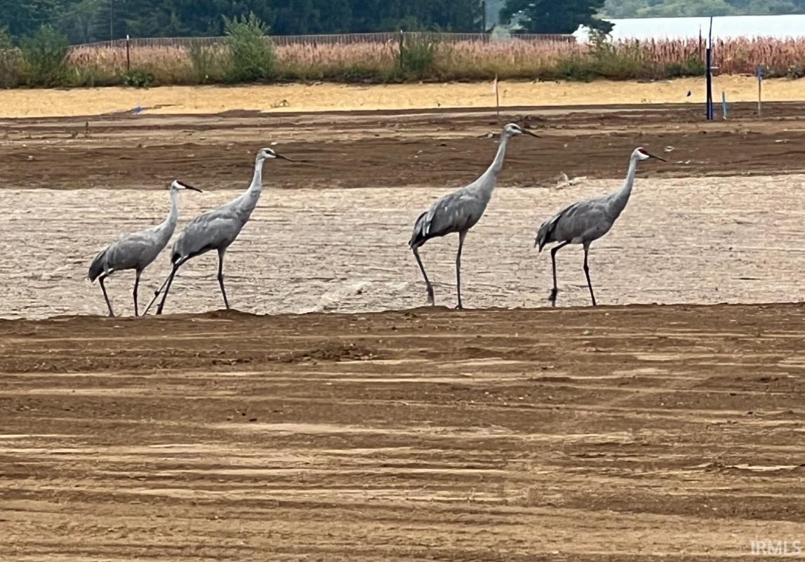 Photo 17 of 15386 MAKARIOS Pass