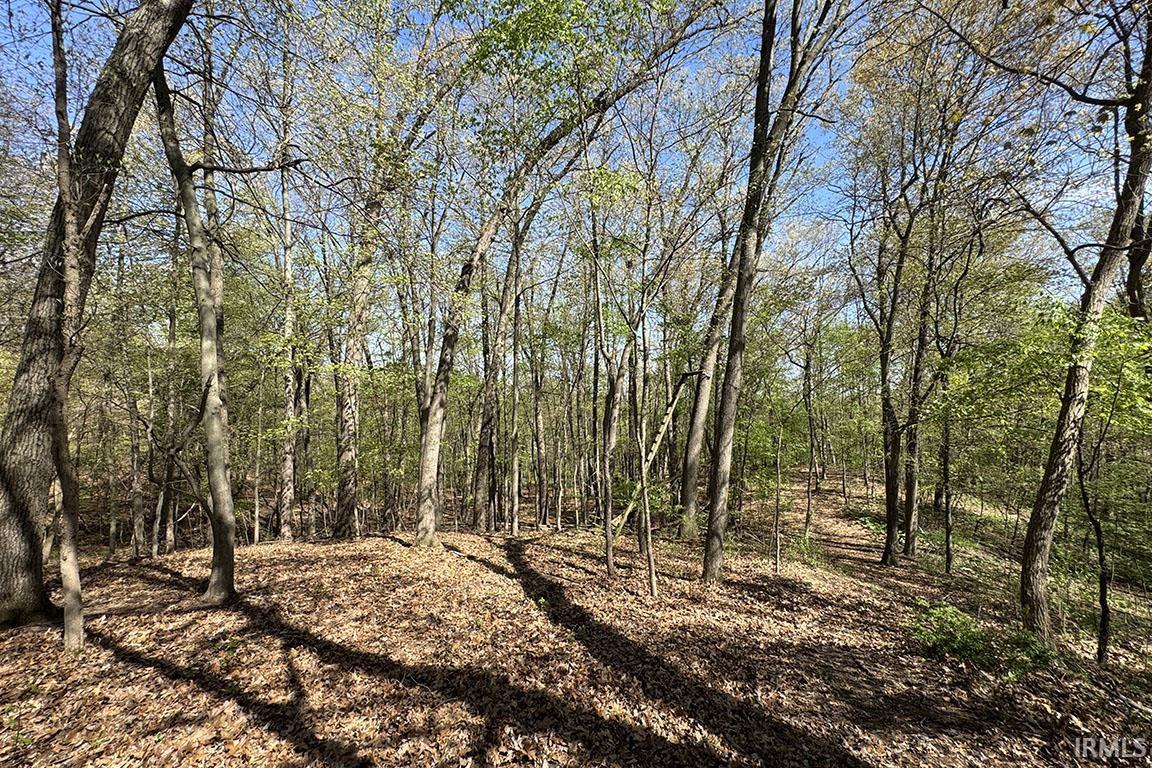 Photo 16 of TBD County Road 23