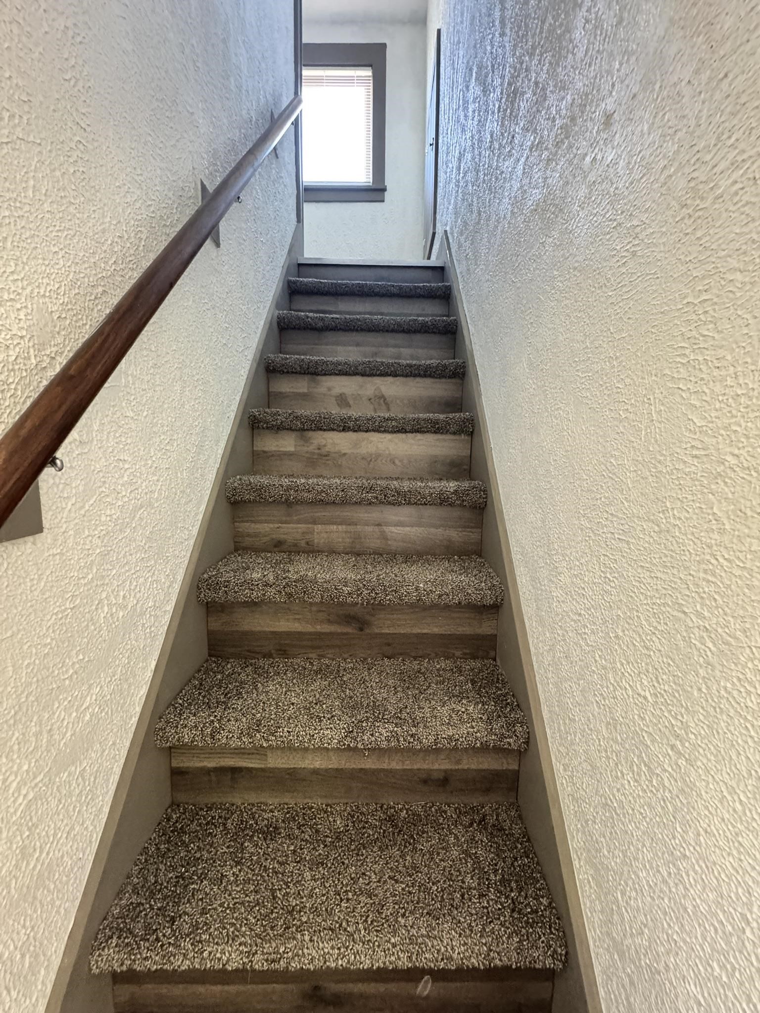 Photo 11 of 238 Alfred Street