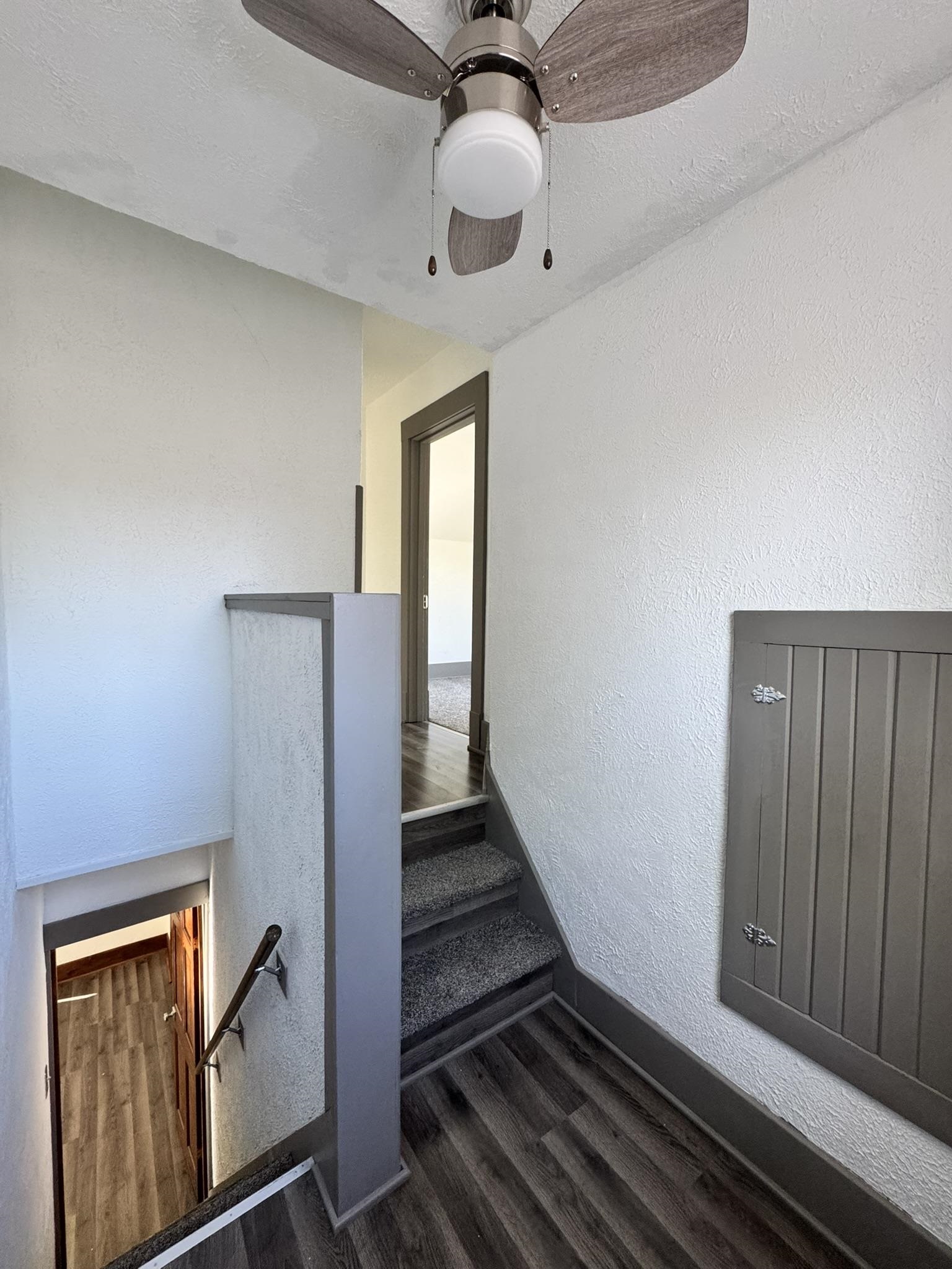 Photo 12 of 238 Alfred Street