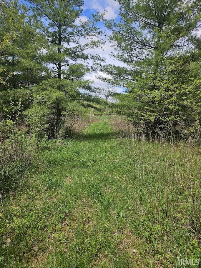 Photo 1 of 19.6+/- Acres St Rd 1