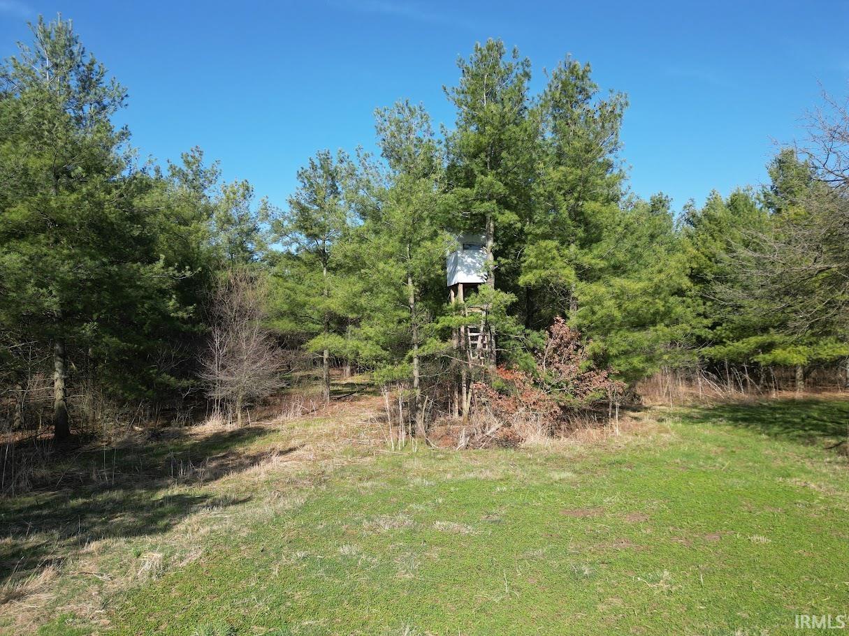 Photo 13 of 19.6+/- Acres St Rd 1