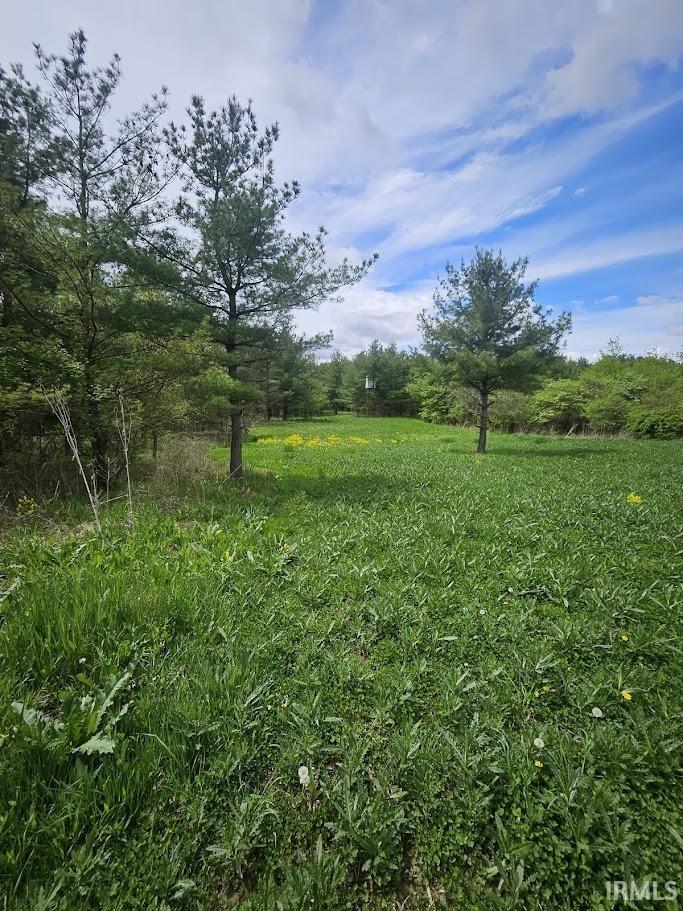 Photo 3 of 19.6+/- Acres St Rd 1