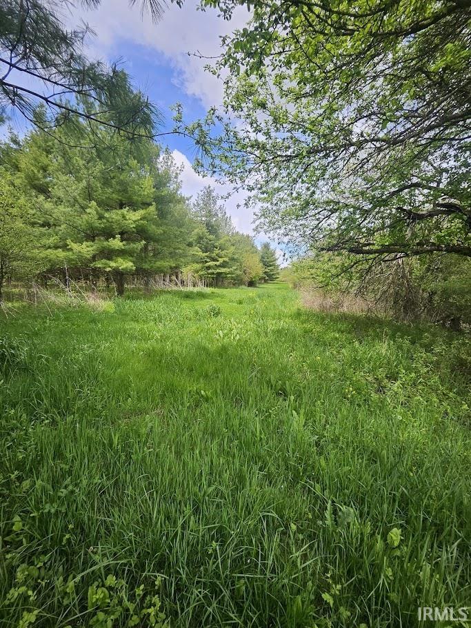 Photo 4 of 19.6+/- Acres St Rd 1