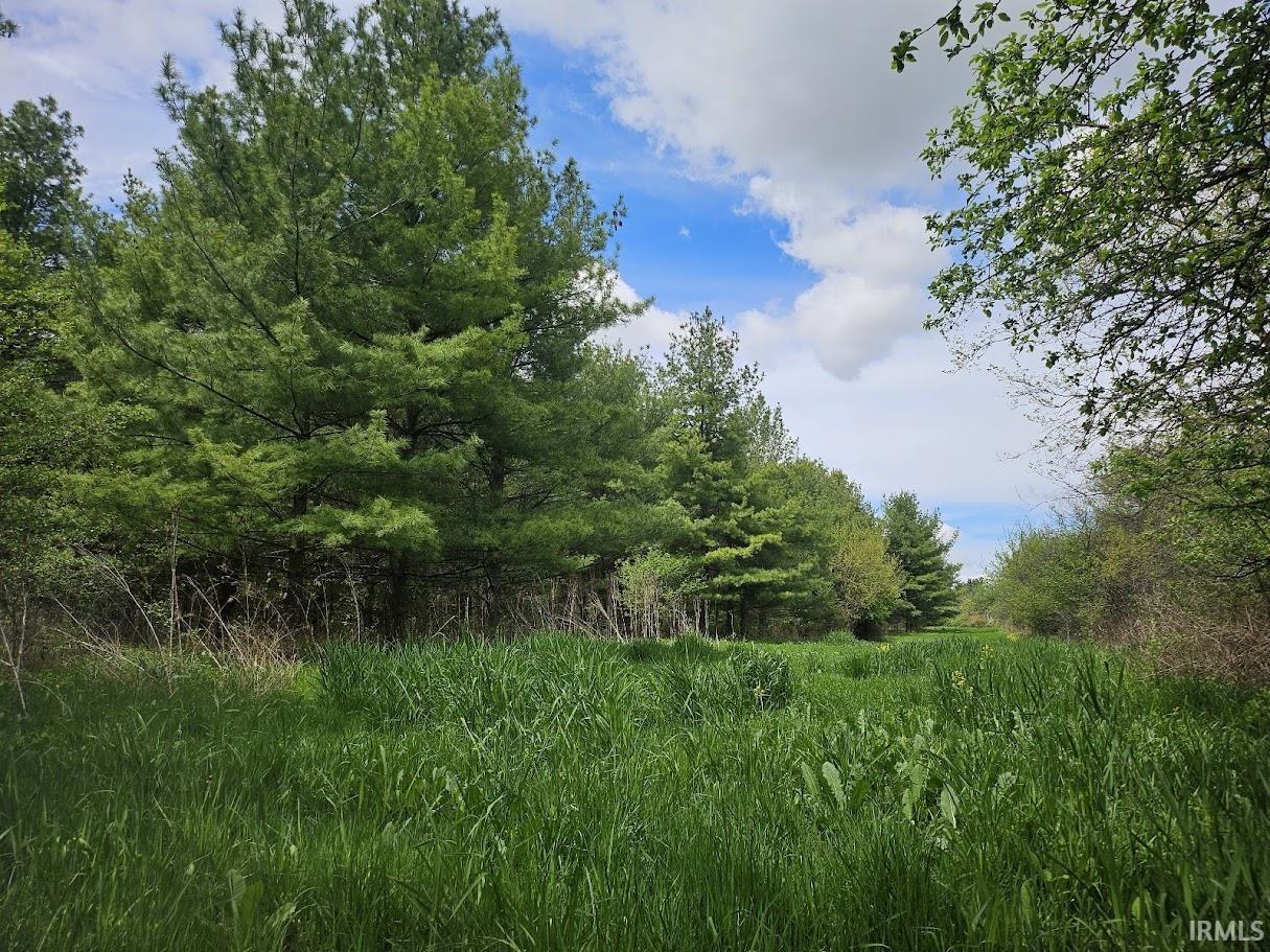 Photo 5 of 19.6+/- Acres St Rd 1