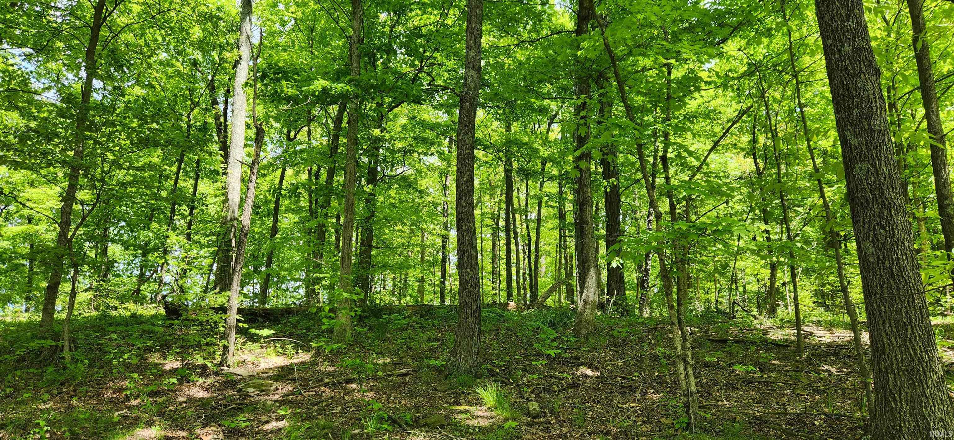 Homes for sale in Bloomington, IN | 1796 S Garrison Chapel Rd, Bloomington, IN 47403 | MLS# 202517405