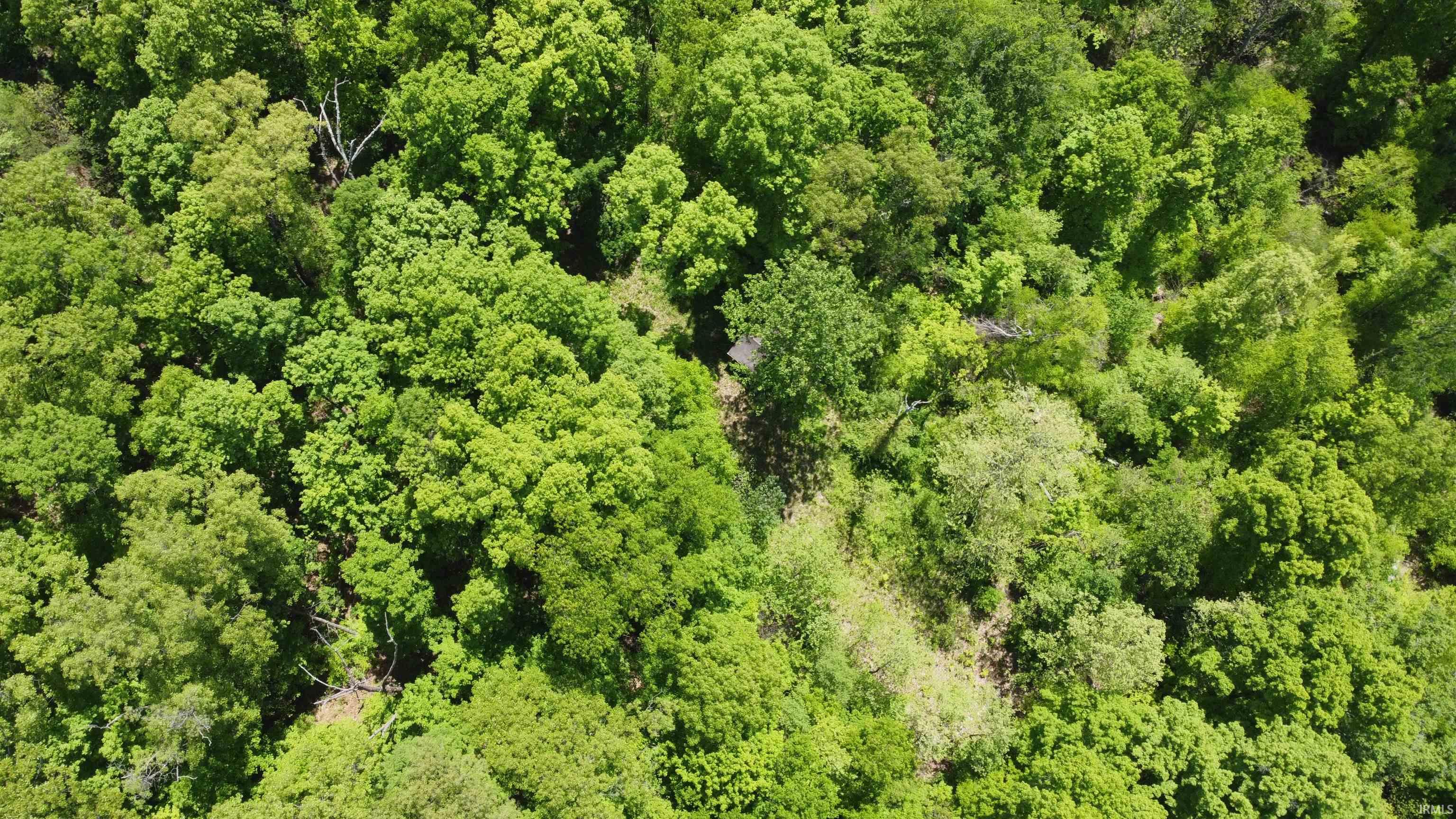 Homes for sale in Bloomington, IN | 1796 S Garrison Chapel Rd, Bloomington, IN 47403 | MLS# 202517405