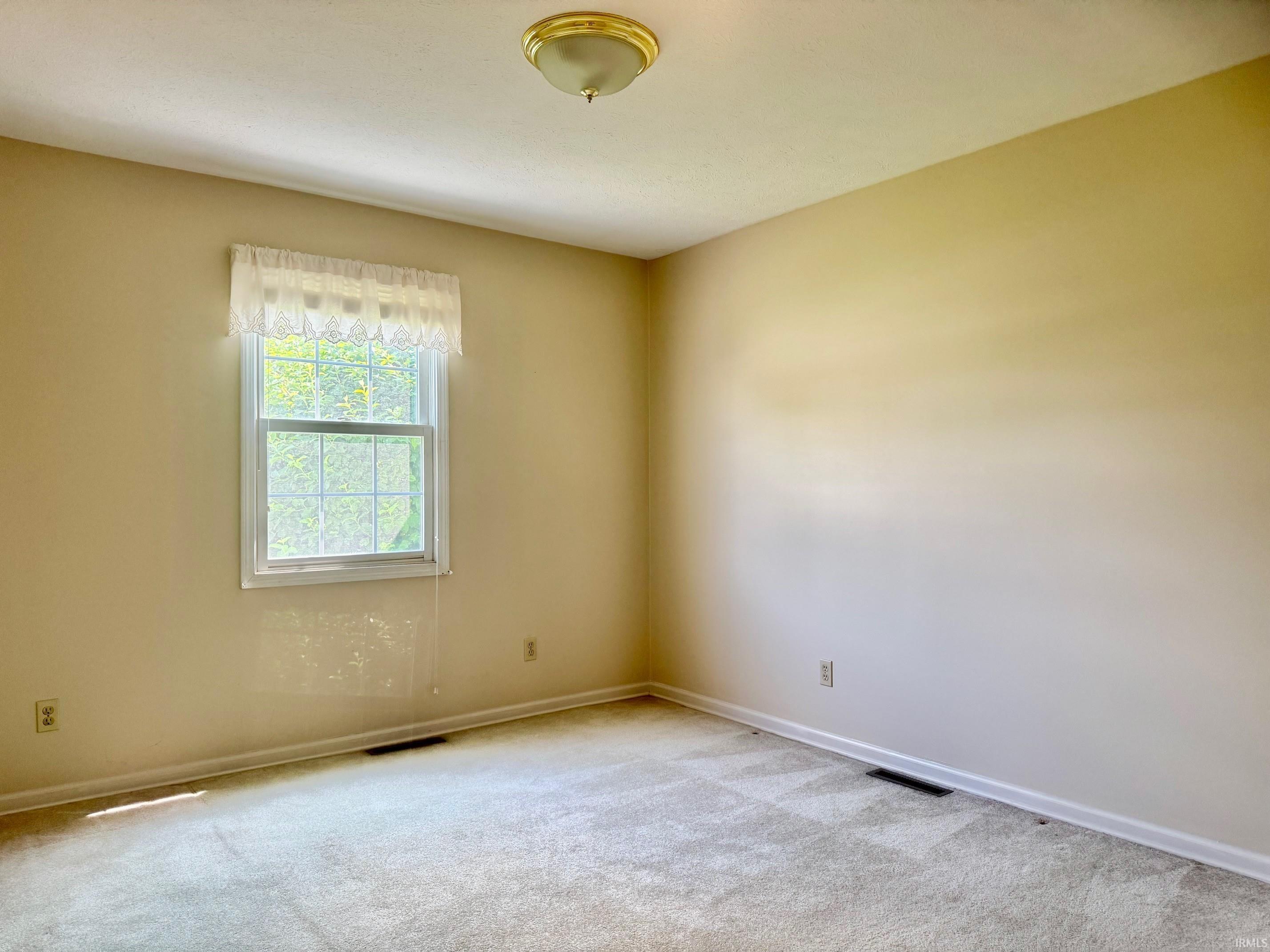 Neutral Paint and Carpet Colors