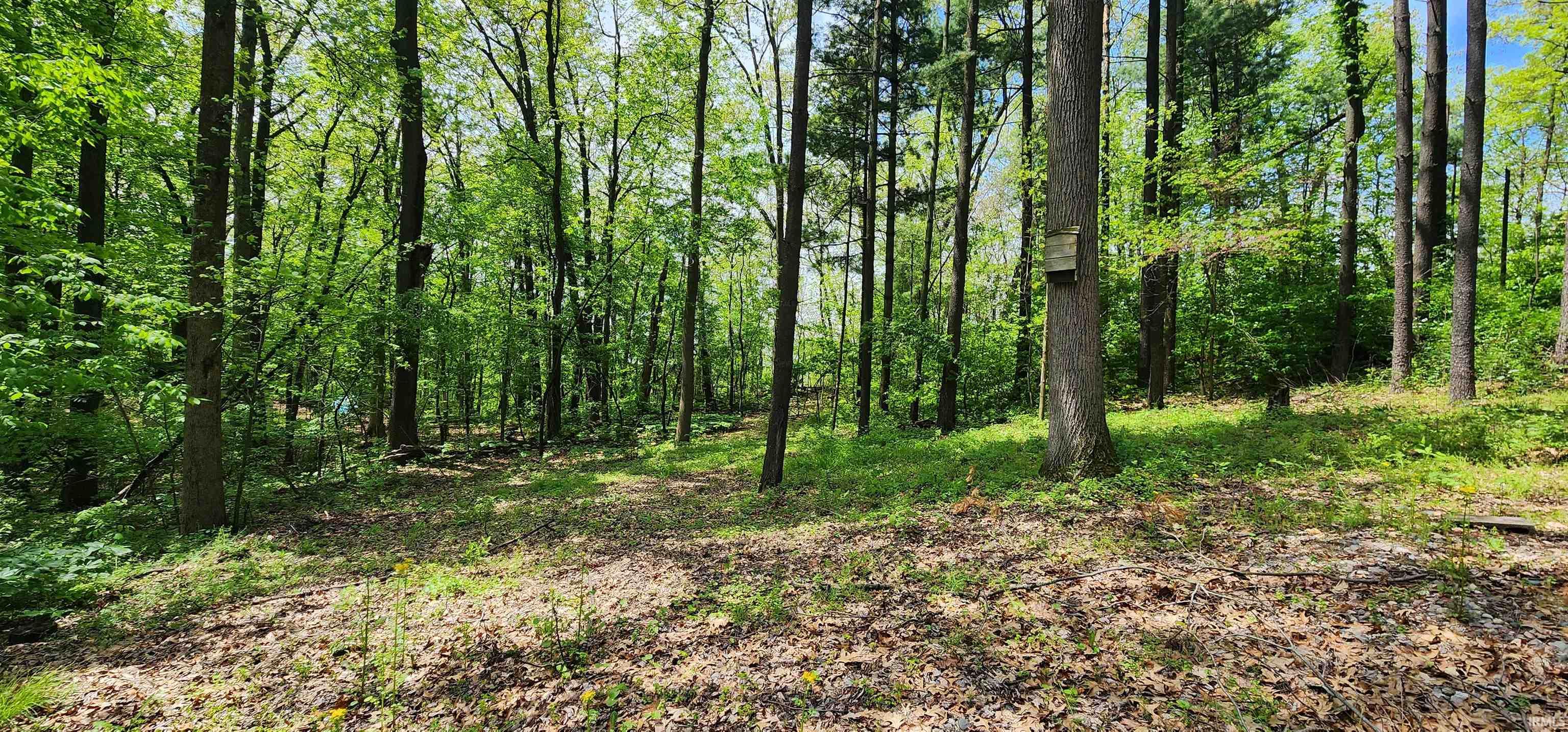 Property Photo 30