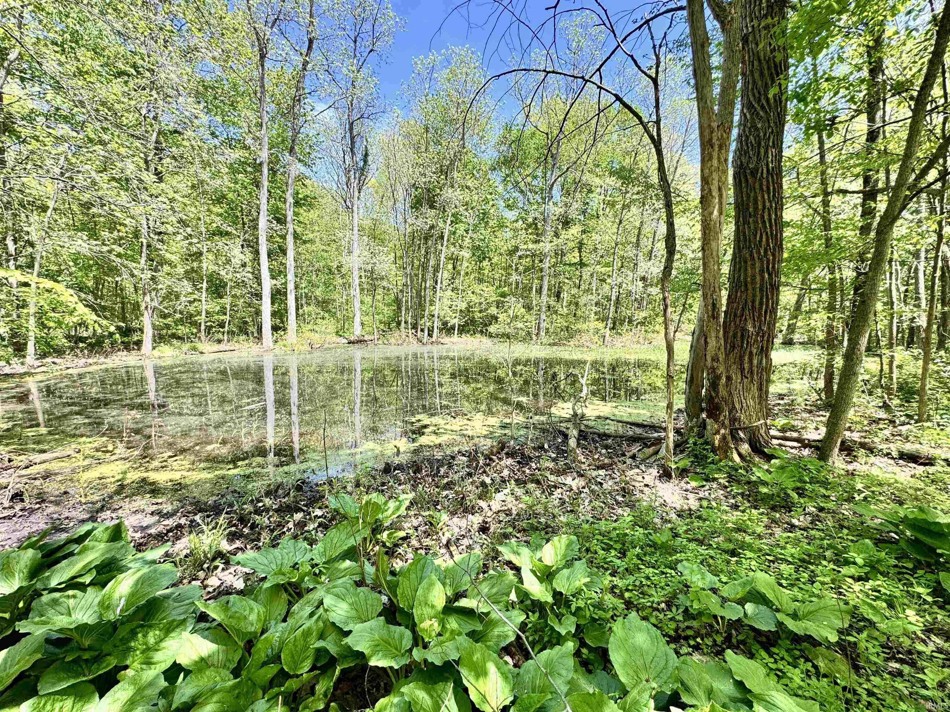 Photo 34 of 5936 County Road 427