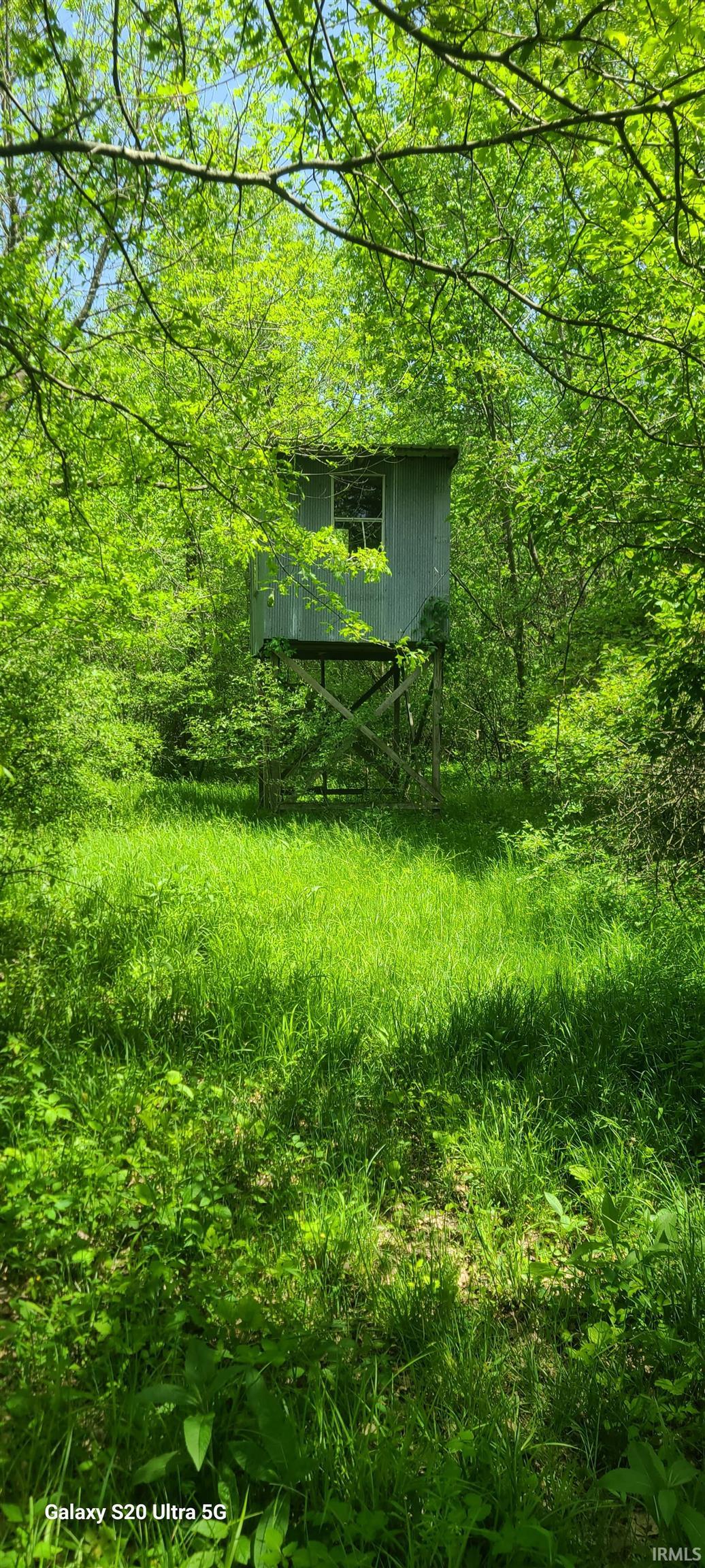 picture-gallery