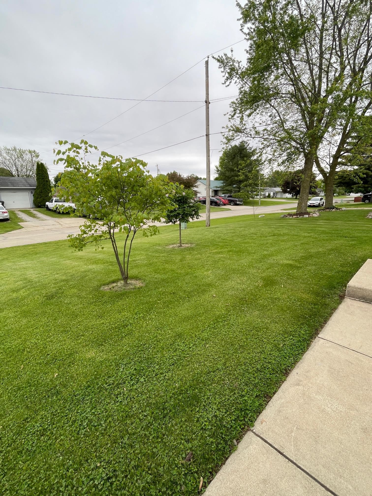Photo 8 of 317 N Golden Drive